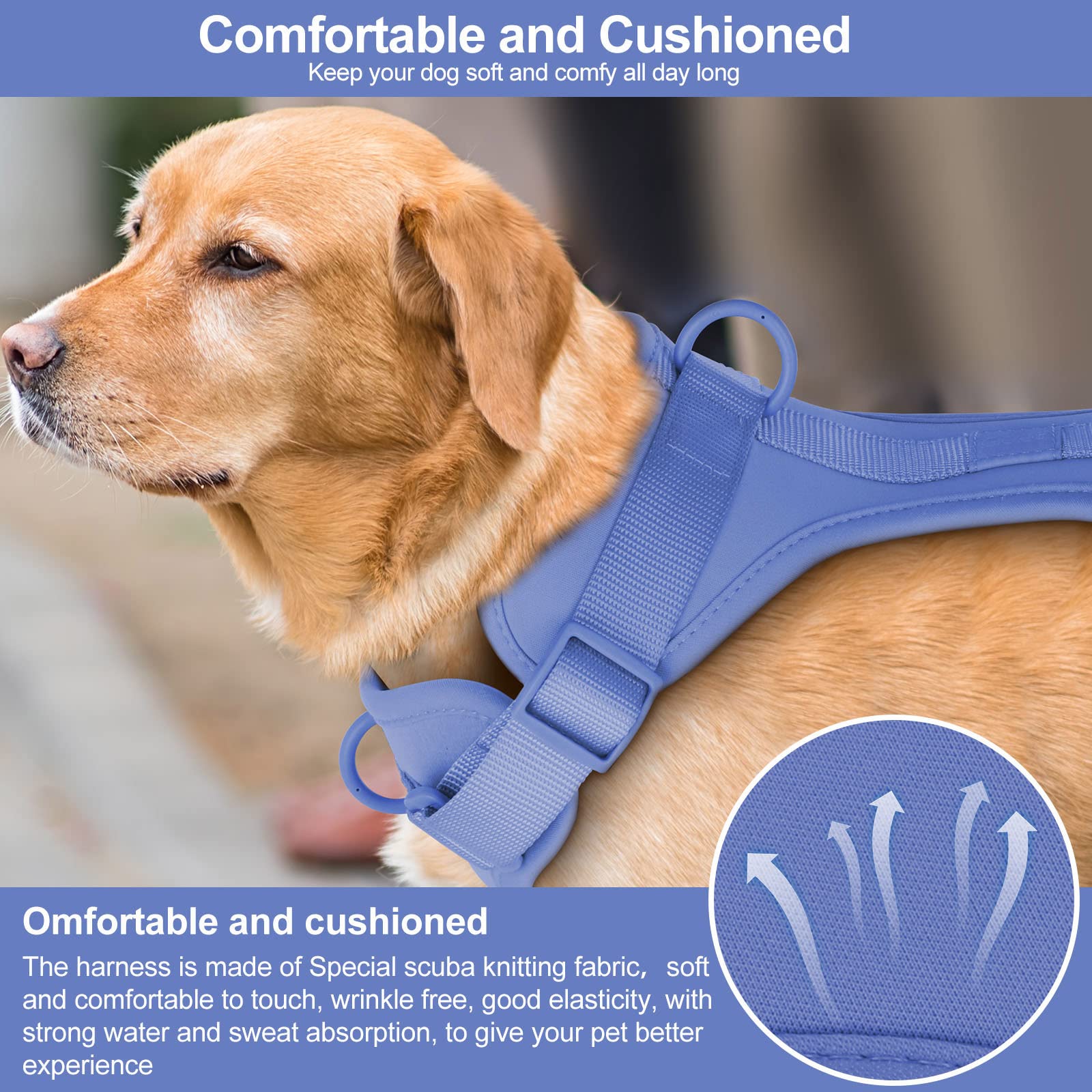 Wisedog No Pull Lightweight Dog Vest Harness With Soft And Comfortable Cushion, Breathable Mesh, For Small Medium Large Dogs Walking (Xs(Neck: 7.48'-10.63';Chest: 10.63'-15.35'), Blue)