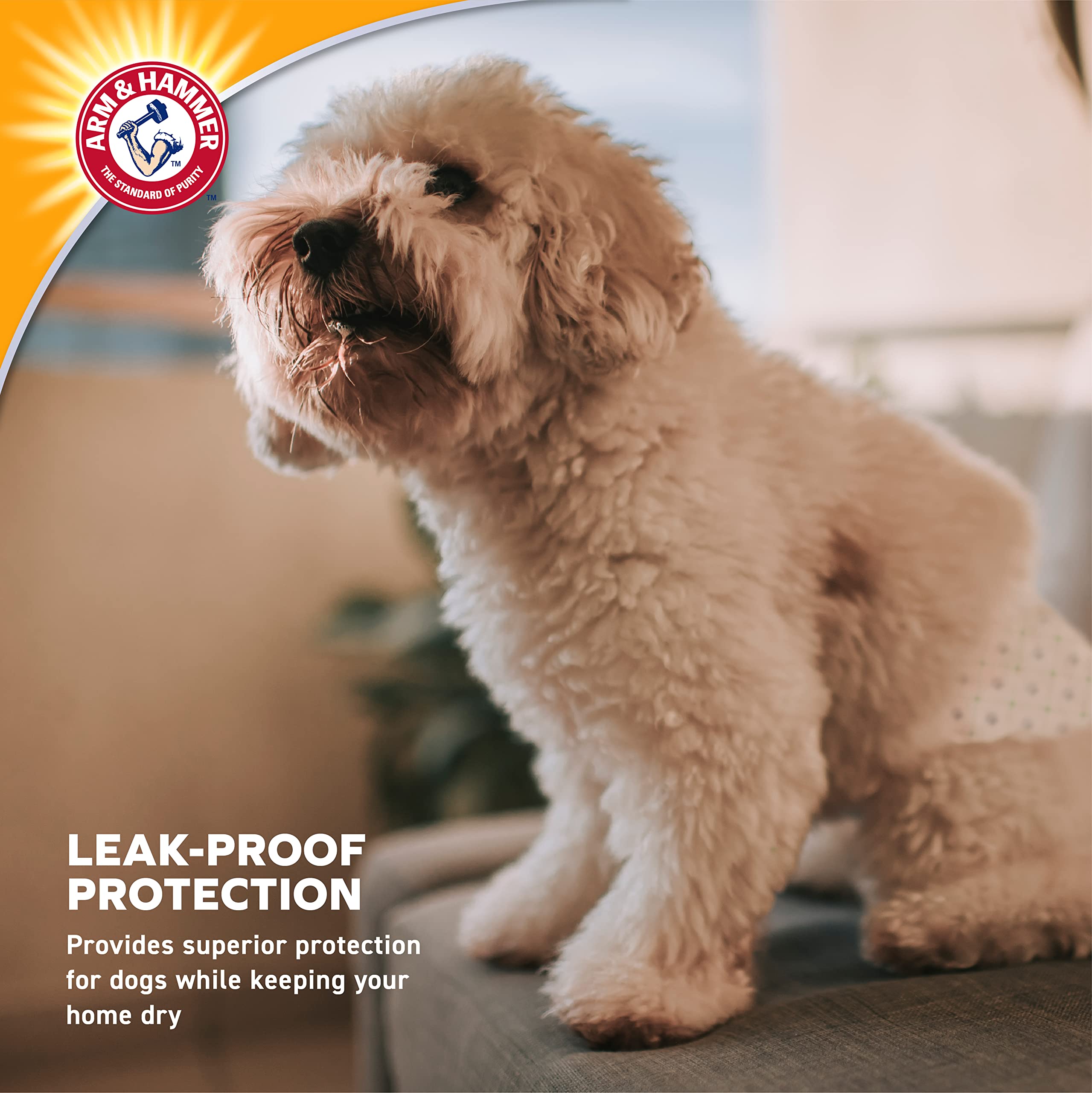 Arm & Hammer for Pets Male Dog Wraps, Size Large, 24 Count UltraAbsorbent, Adjustable Male Dog Diapers with Leakproof Protection