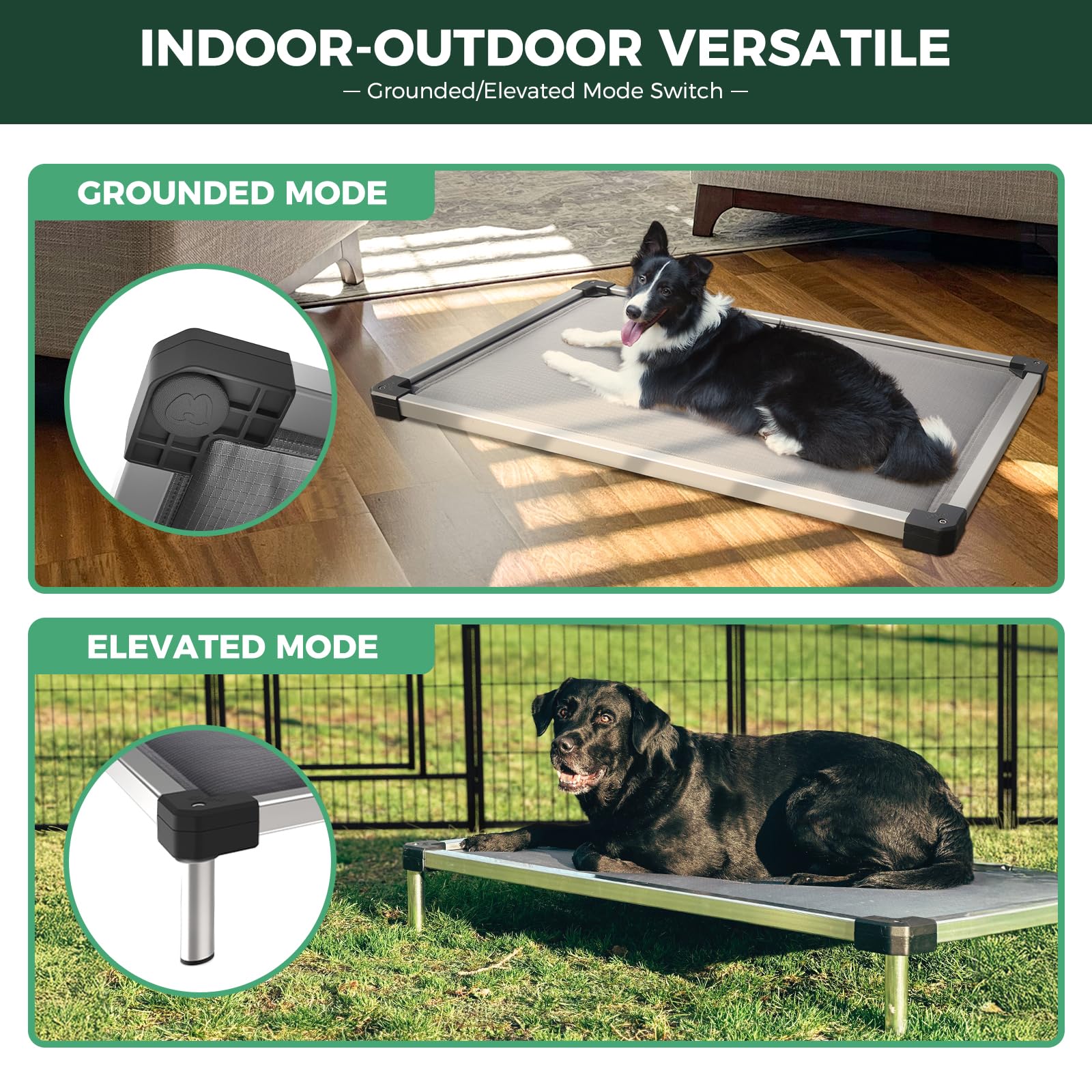 Fxw Titannest Chew-Proof Elevated Dog Bed, Padded Cot For Outdoor/Camping/Indoor Use, Durable & Washable Pet Bed For Medium And