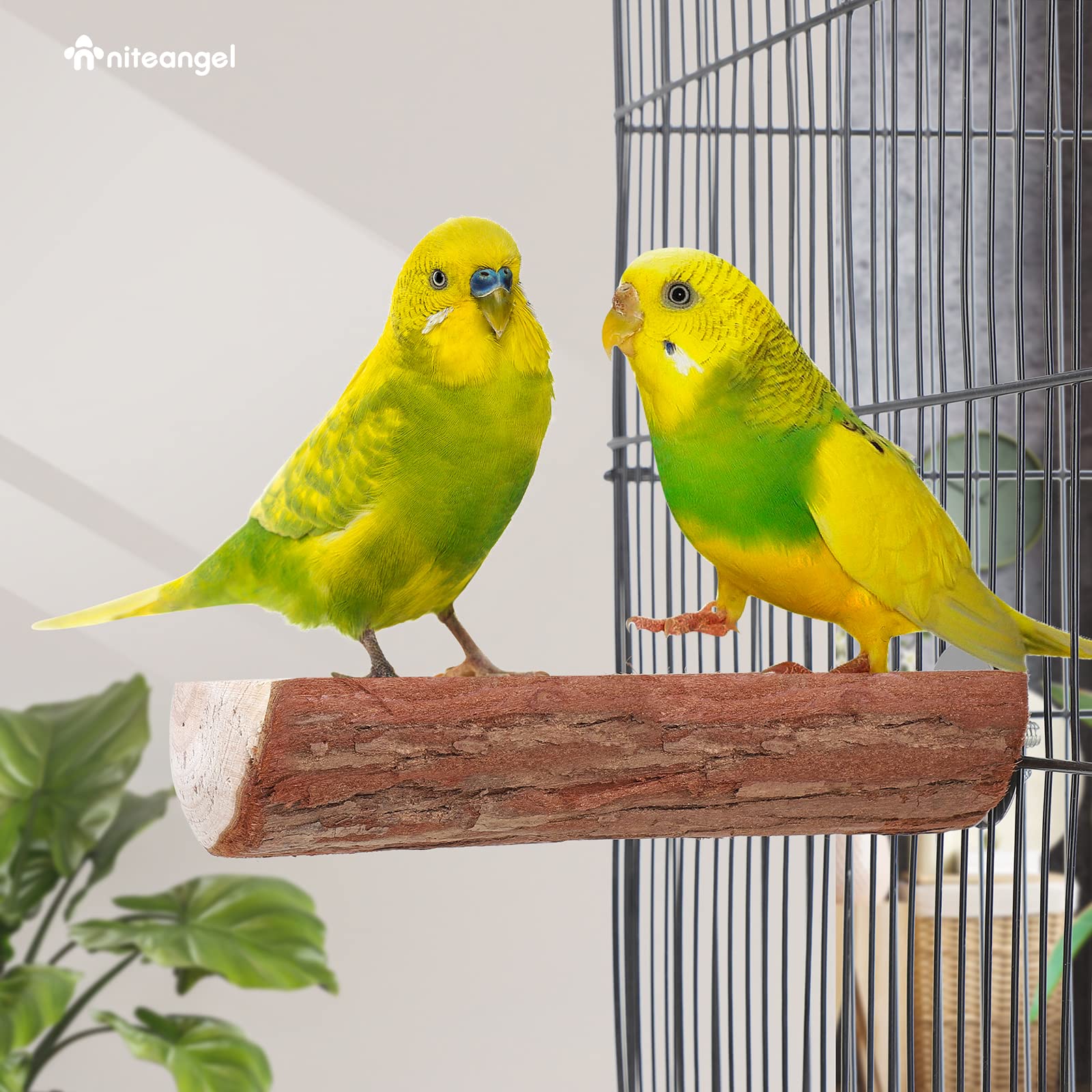 Niteangel Parrot Cage Perch, Wooden Platform For Birds (1 Pack)