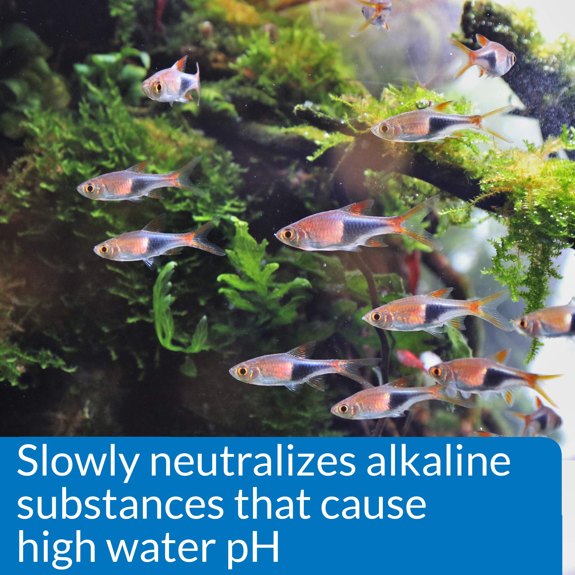 API pH DOWN Freshwater Aquarium Water pH Reducing Solution 4-Ounce Bottle