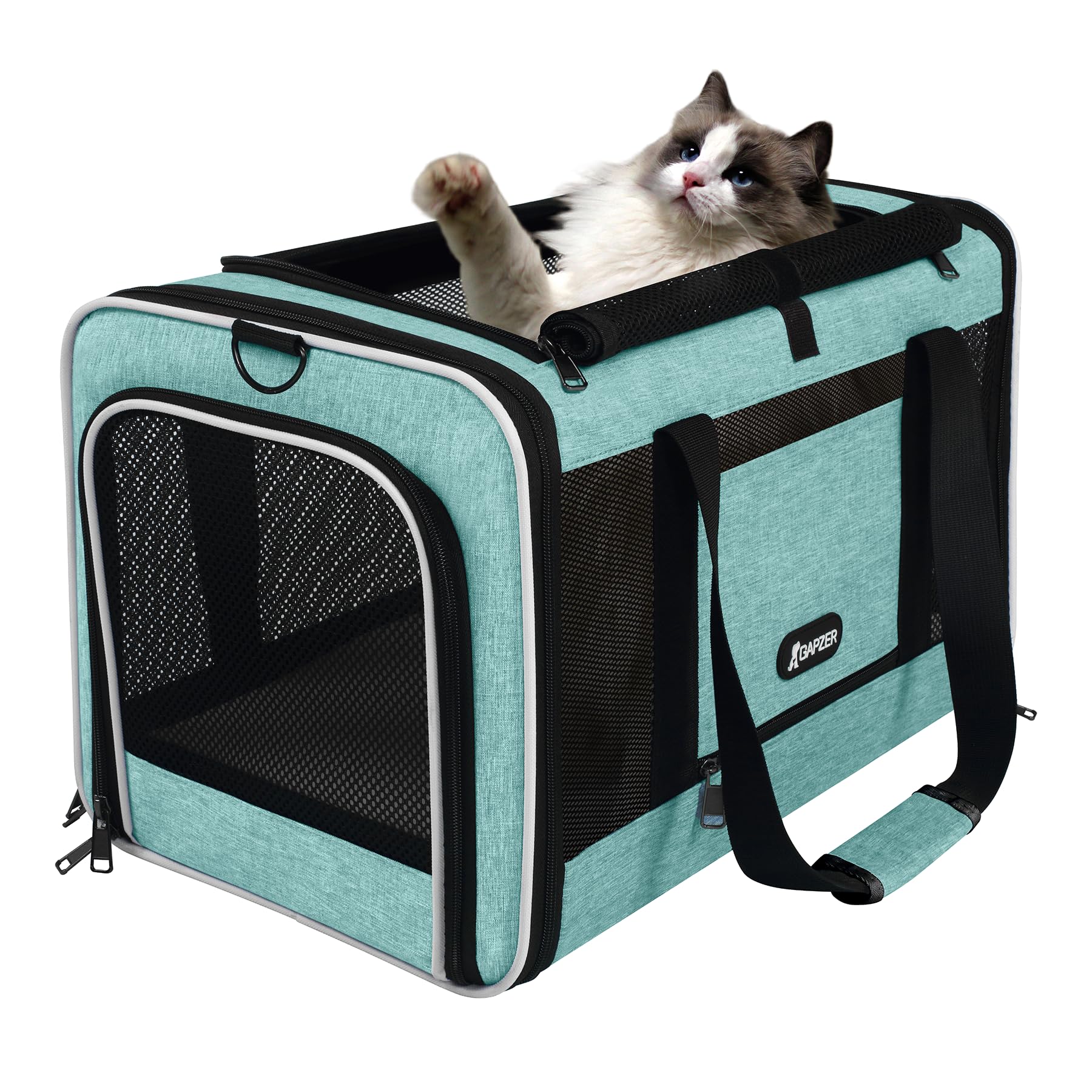 GAPZER Cat Carrier 18x11x11 TSA Approved Ventilated Top Open Softsided Pet Air Travel Bag, Small Animal Basic Crate Shih Tzu Dog