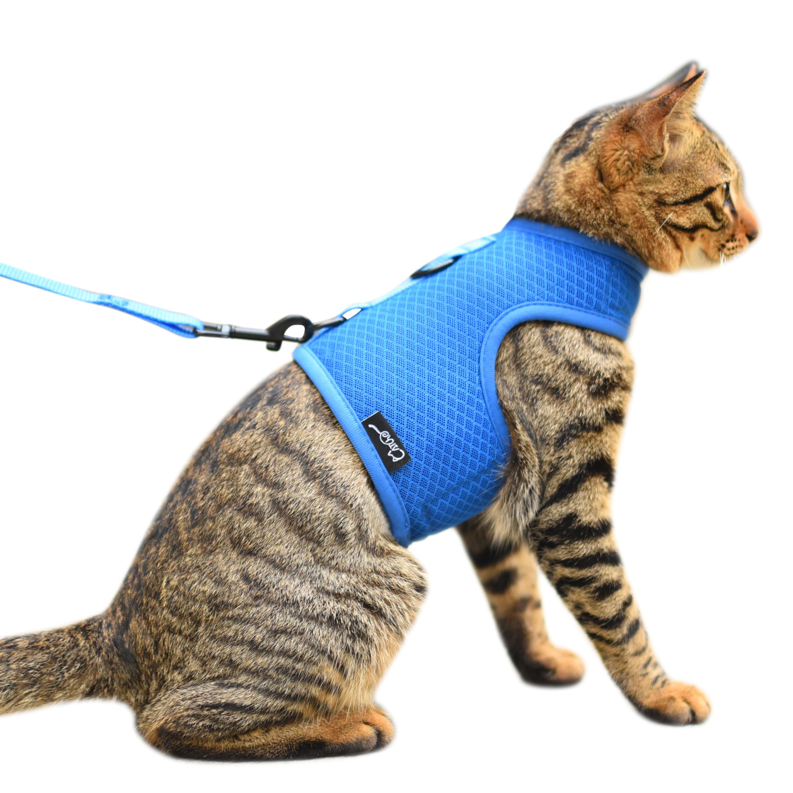 Cat Harness And Leash For Walking Escape Proof Breathable Mesh Fabric, Solid Blue, Medium, Adjustable Cat Walking Jackets, Padde