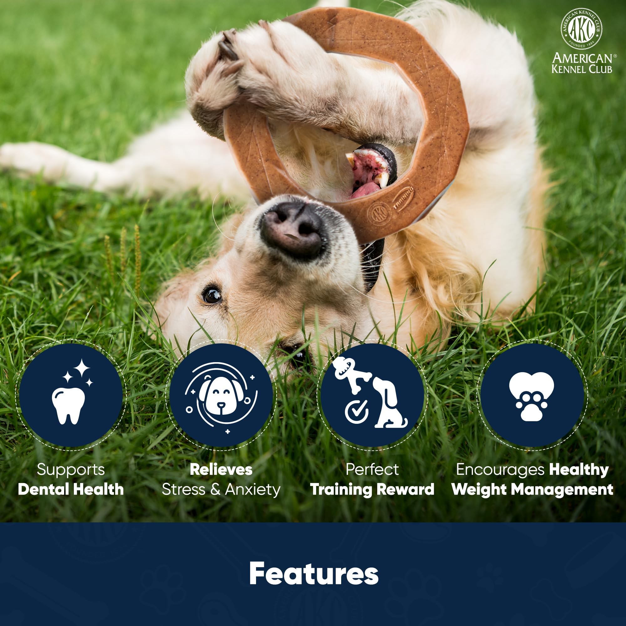 AMERICAN KENNEL CLUB Dog Chew Toy – Durable, Peanut Butter Scented, Supports Dental Health, Moderate Chewers, Model AKCT110, Ring Shape
