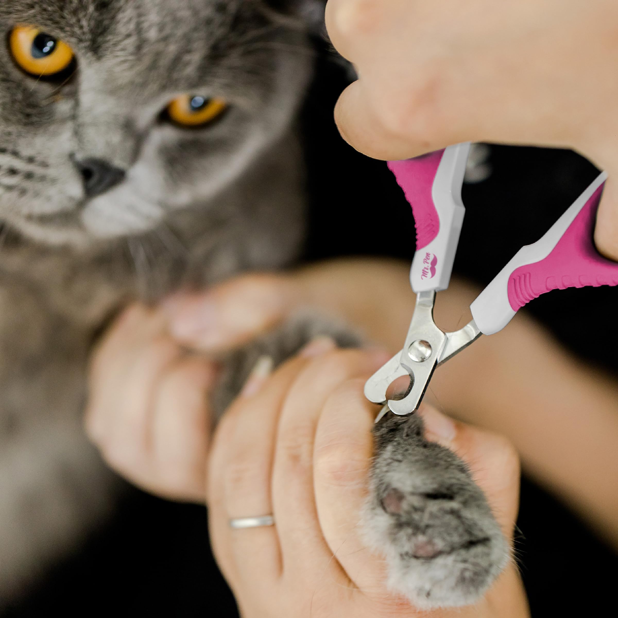 Mr. Pen- Cat Nail Clipper, Violet, Cat Nail Trimmer, Cat Nail Clippers, Cat Claw Clippers, Cat Clippers For Nails, Pet Nail Clippers, Kitten Nail Clipper, Small Dog Nail Clipper Cat Claw Trimmer