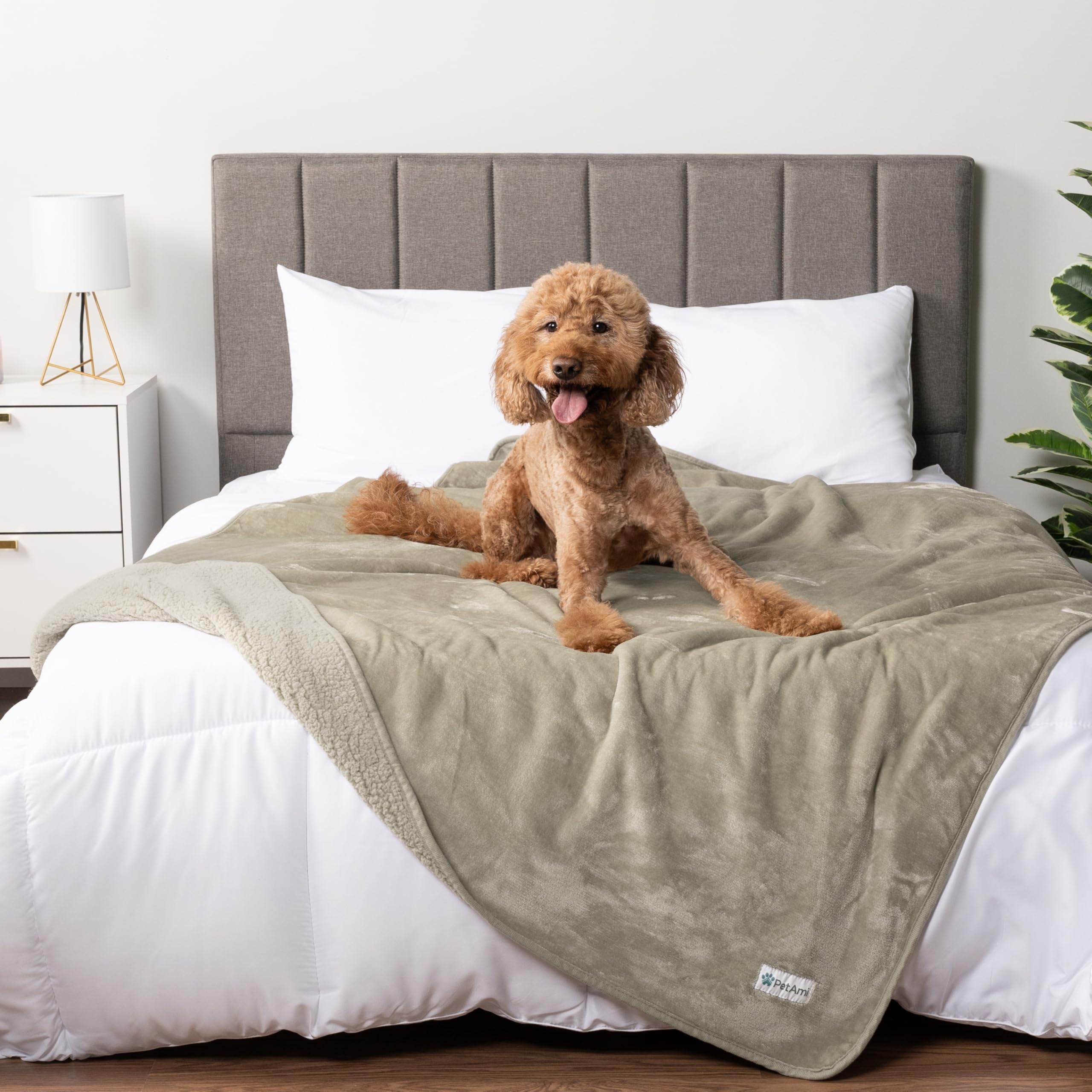 Petami Waterproof Dog Blanket For Medium Large Dogs, Pee Proof Pet Blanket For Bed Couch, Reversible Water Proof Blanket For Puppy Indoor Cat, Soft Dog Pee Crate Cover Washable, 60X80 Taupe