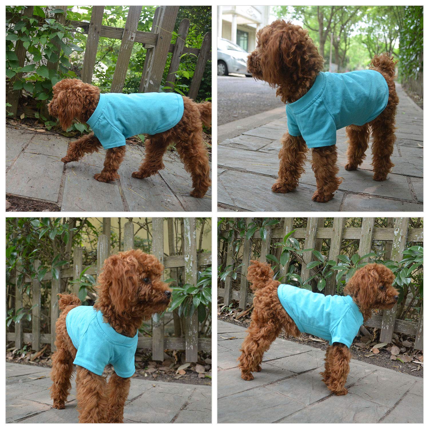 Lovelonglong 2019 Pet Clothing Dog Costumes Basic Blank T-Shirt Tee Shirts for Medium Large Dogs Turquoise XXXL