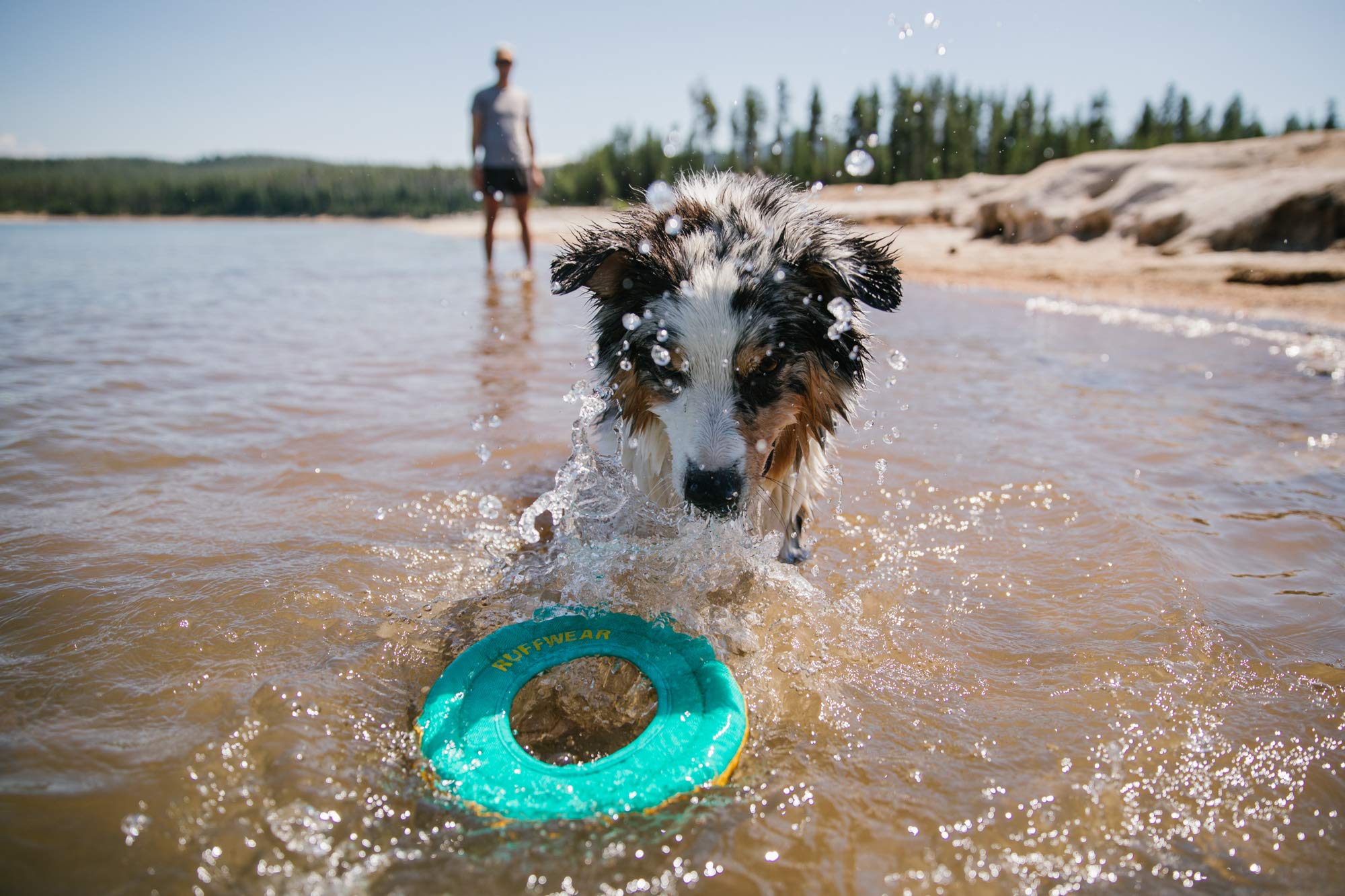Ruffwear, Hydro Plane Floating Disc For Dogs, Aurora Teal, Medium
