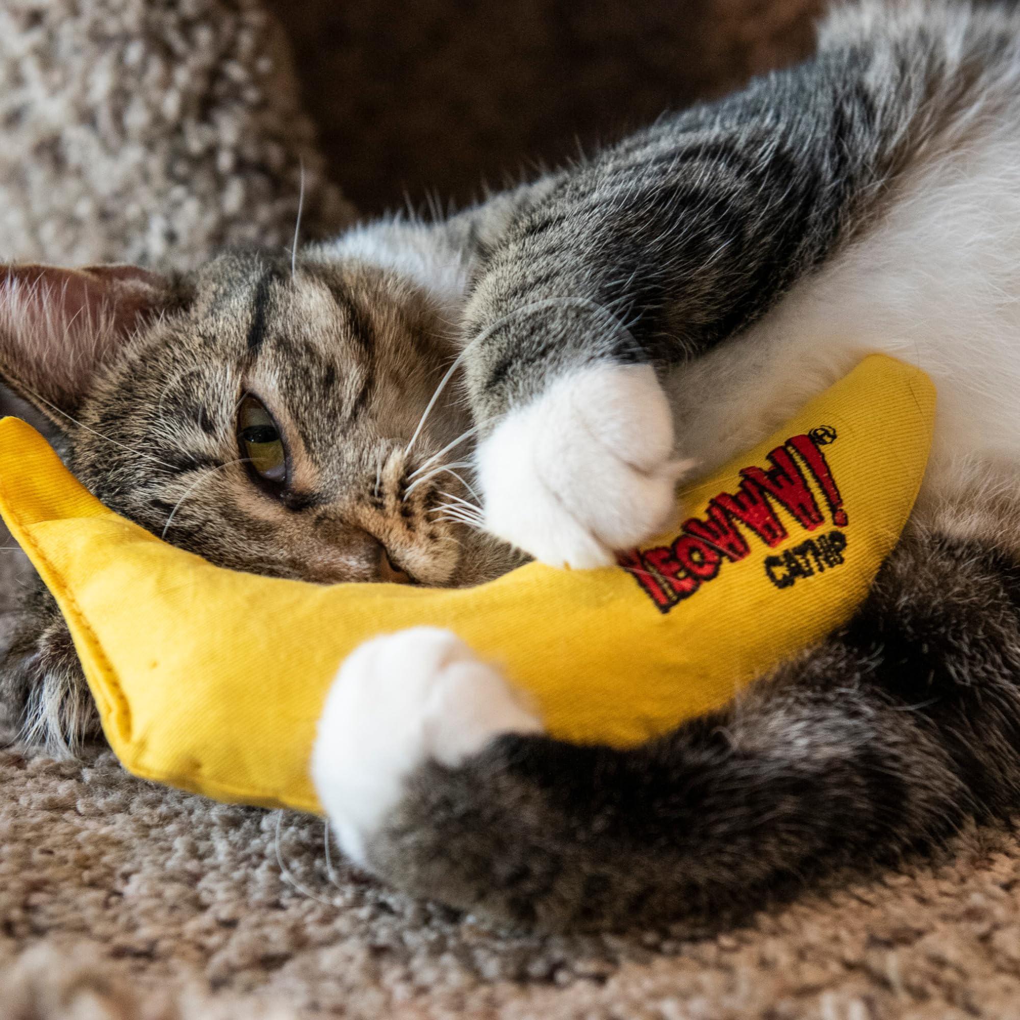 Yeowww! Catnip Toy - Yellow Banana, 1 Pack, Cotton Material, Model 8 12402 00004 1