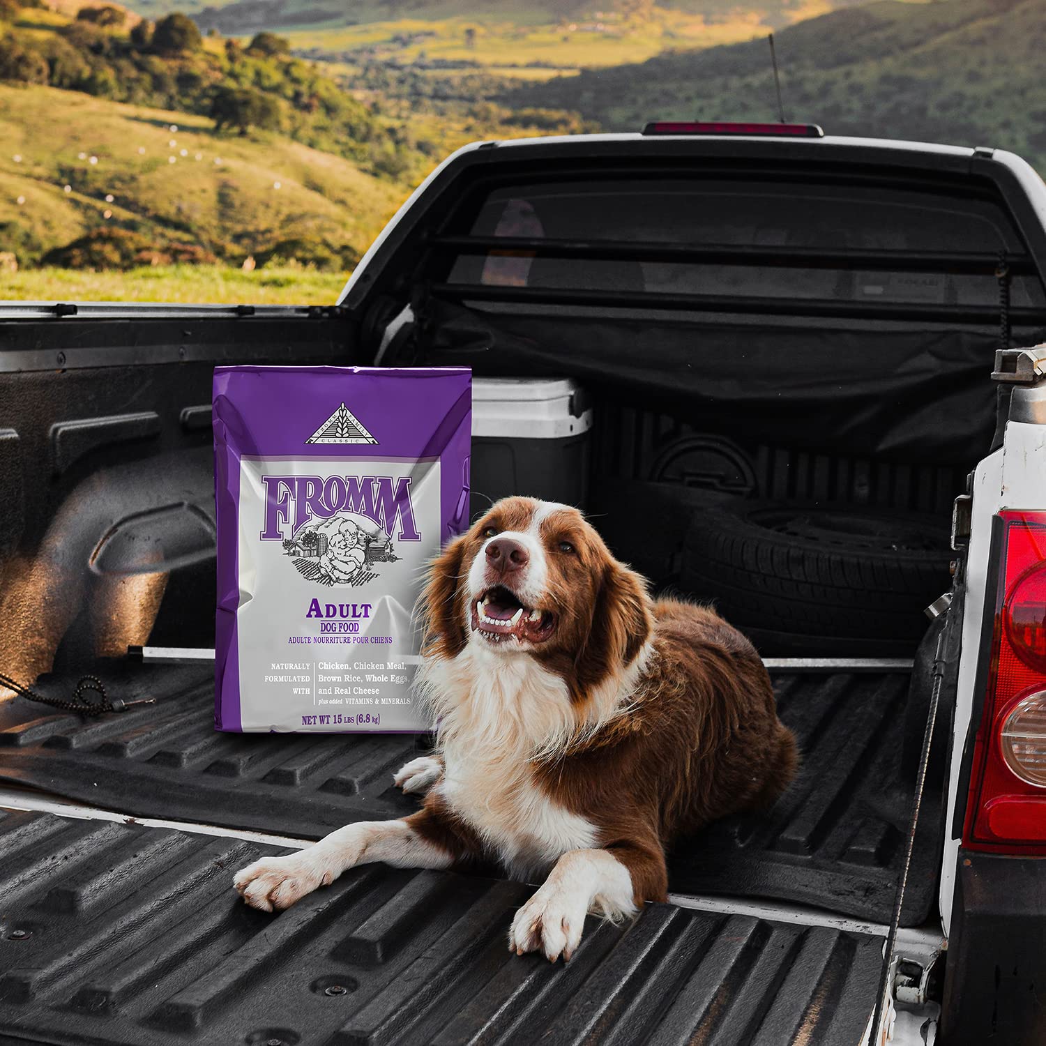Fromm Classics Adult Dry Dog Food, 5 lb.