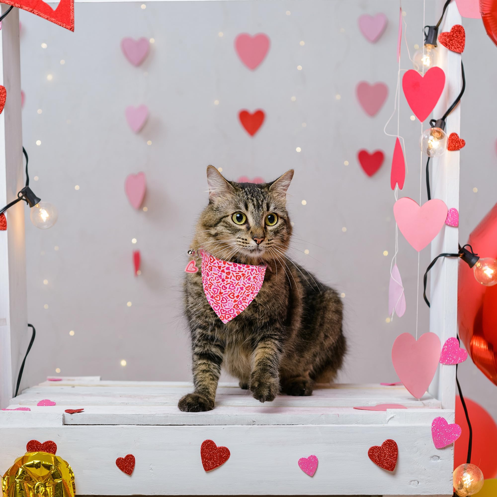 Adoggygo Pink Valentine Cat Collar With Bowtie Bandana, Valentine Kitten Bowtie Collar, Pet Heart Collars For Cat Kitten