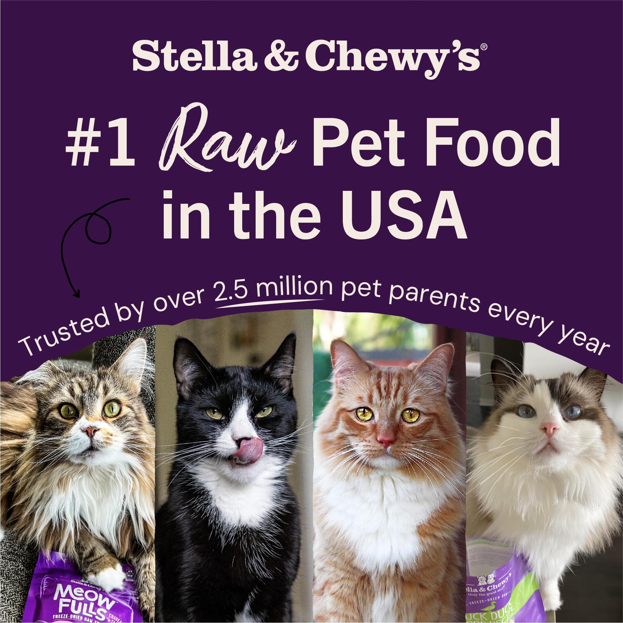 Stella & Chewys Freeze-Dried Raw Maries Magical Dinner Dust - Grain Free, Protein Rich Cat & Kitten Food Topper - Wild-Caught S