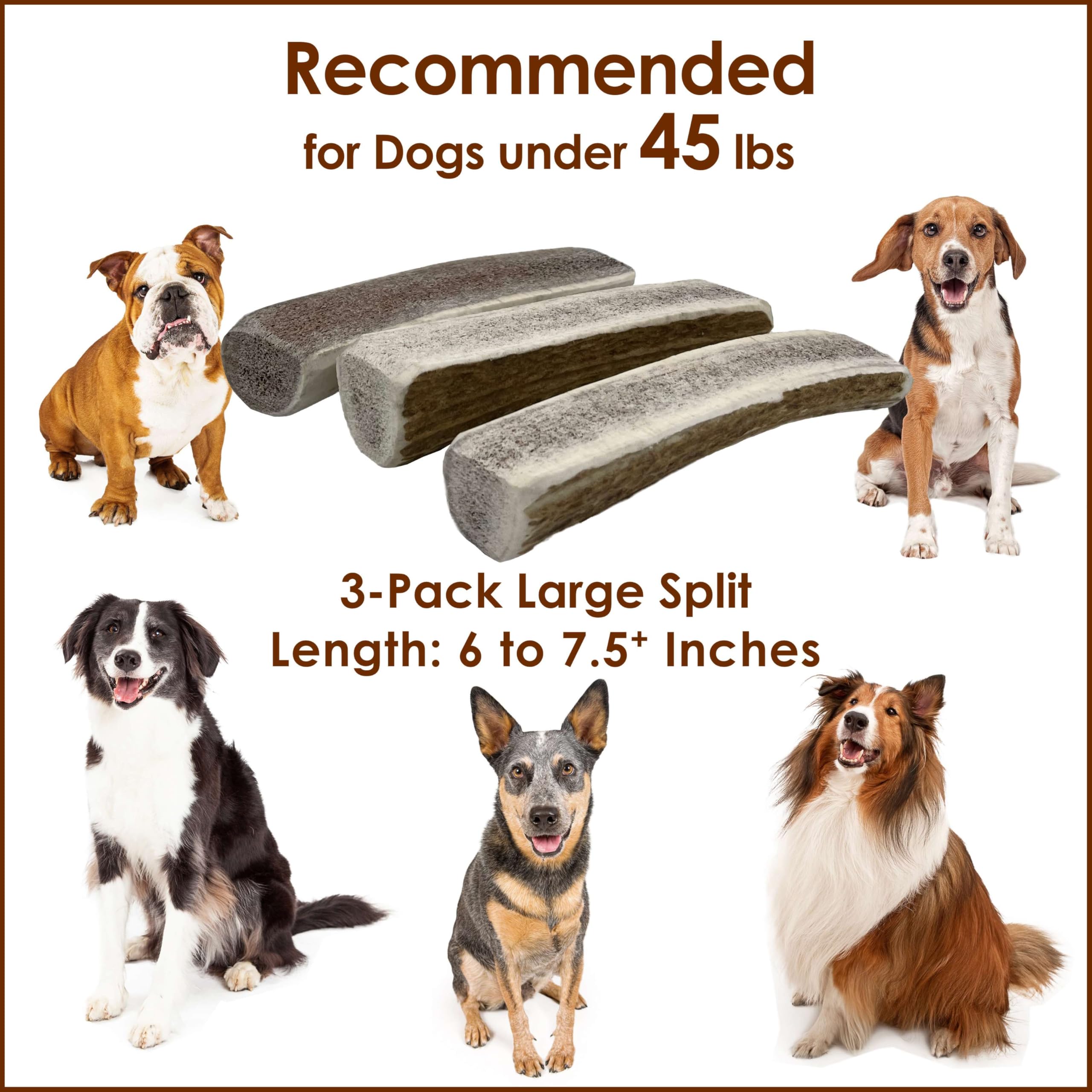 Deluxe Naturals 3-Pack Large Split Elk Antler Dog Chews (6 to 7.5+ in) - All-Natural, Long-Lasting Antlers for Small & Medium Do