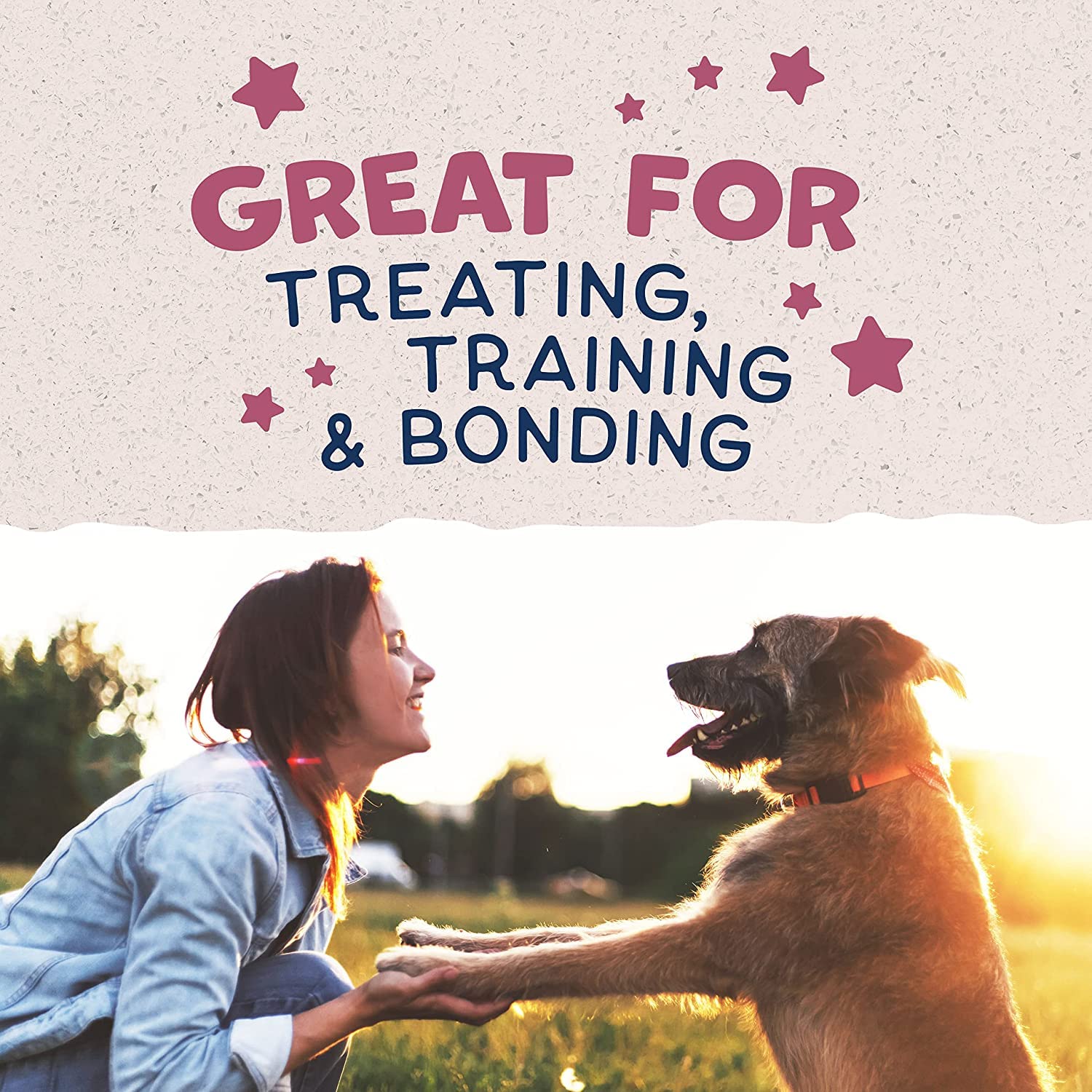 Natural Balance Limited Ingredient Rewards Jumpin Stix, Grain-Free Dog Treats for Adult Dogs of All Breeds, Venison Recipe, 4 O