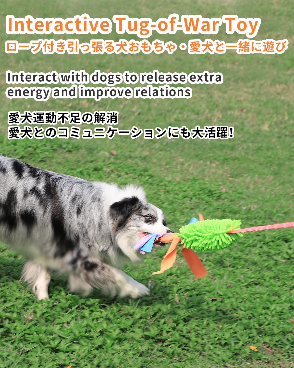 Schitec Tug Toy For Dogs, Bungee Tug Of War Rope Toys With Squeaky Sound For Small Medium Large Dog, Puppy Training Pull Toy For