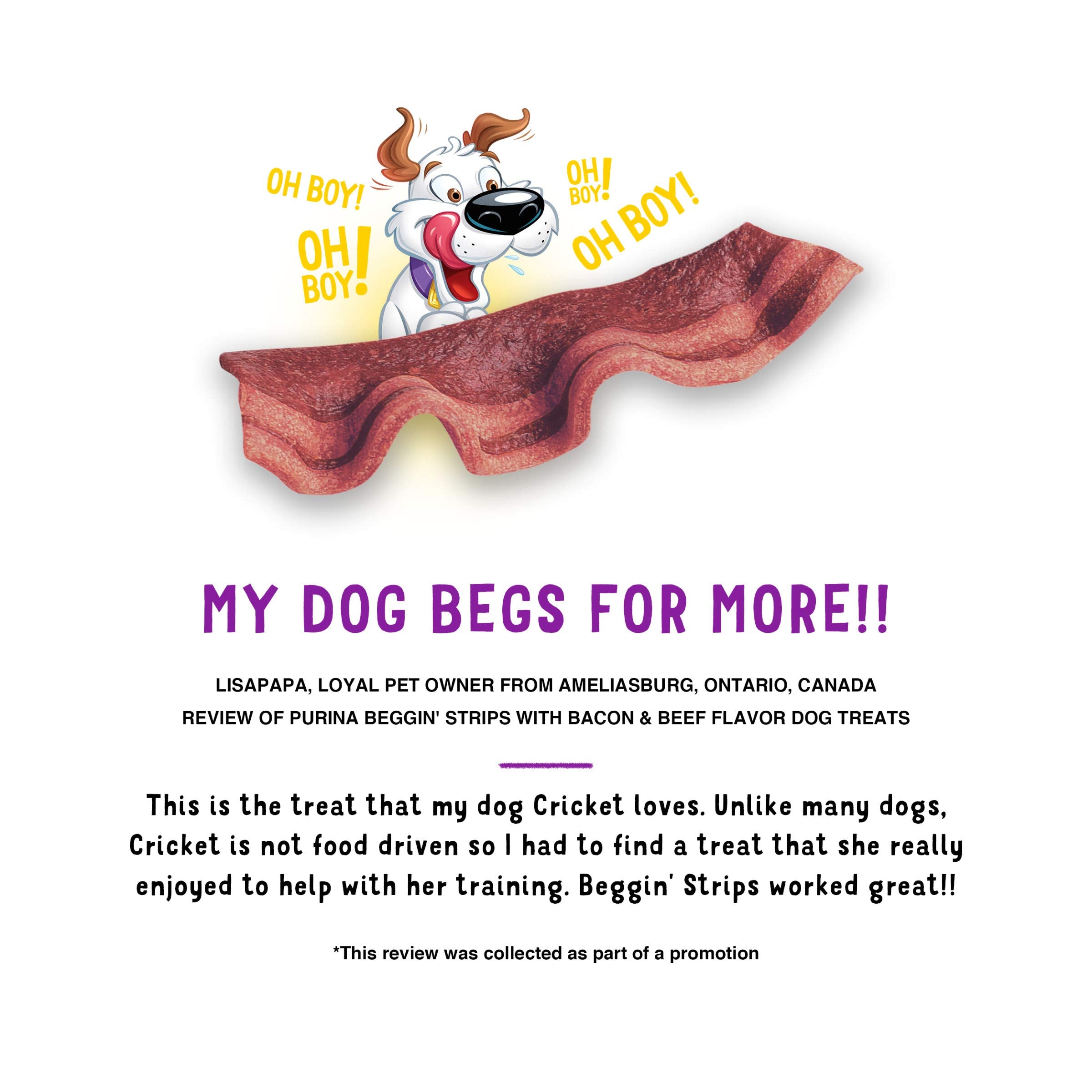 Purina Beggin Strips With Real Meat Dog Treats With Bacon and Beef Flavors