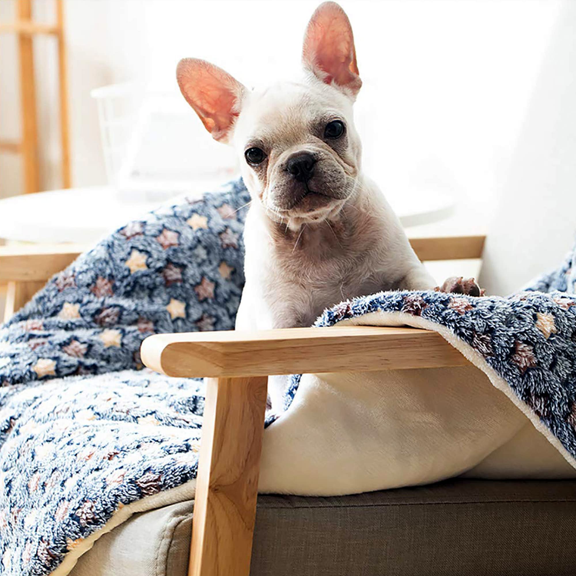 FJWYSANGU Pet Blanket Premium Fluffy Flannel Cushion Soft and Warm Mat for Dogs Cats(Star/Blue,Medium)