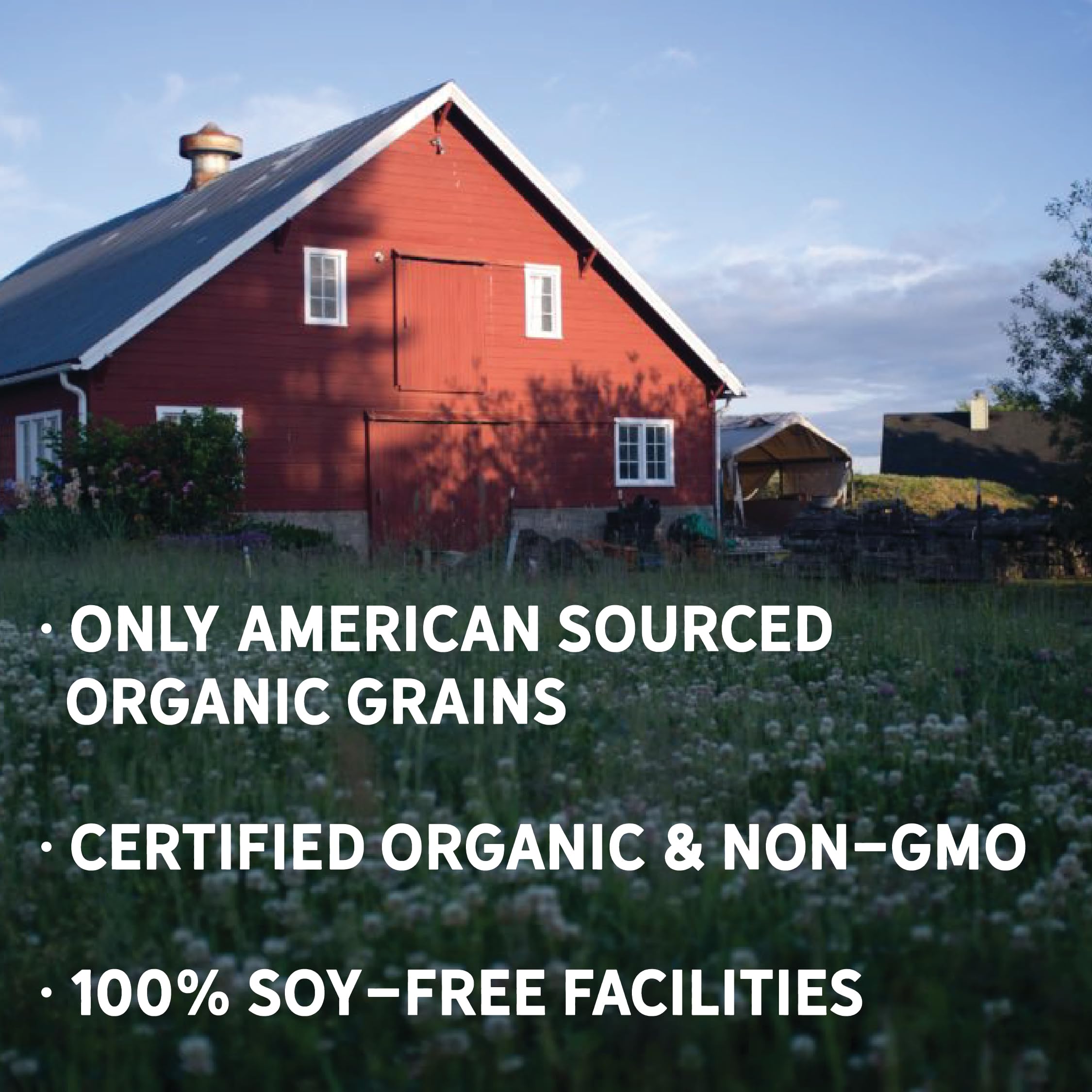 New Country Organics | Classic Layer Feed for Laying Hens | Soy-Free | 17% Protein | Certified Organic and Non-GMO | 25 lbs