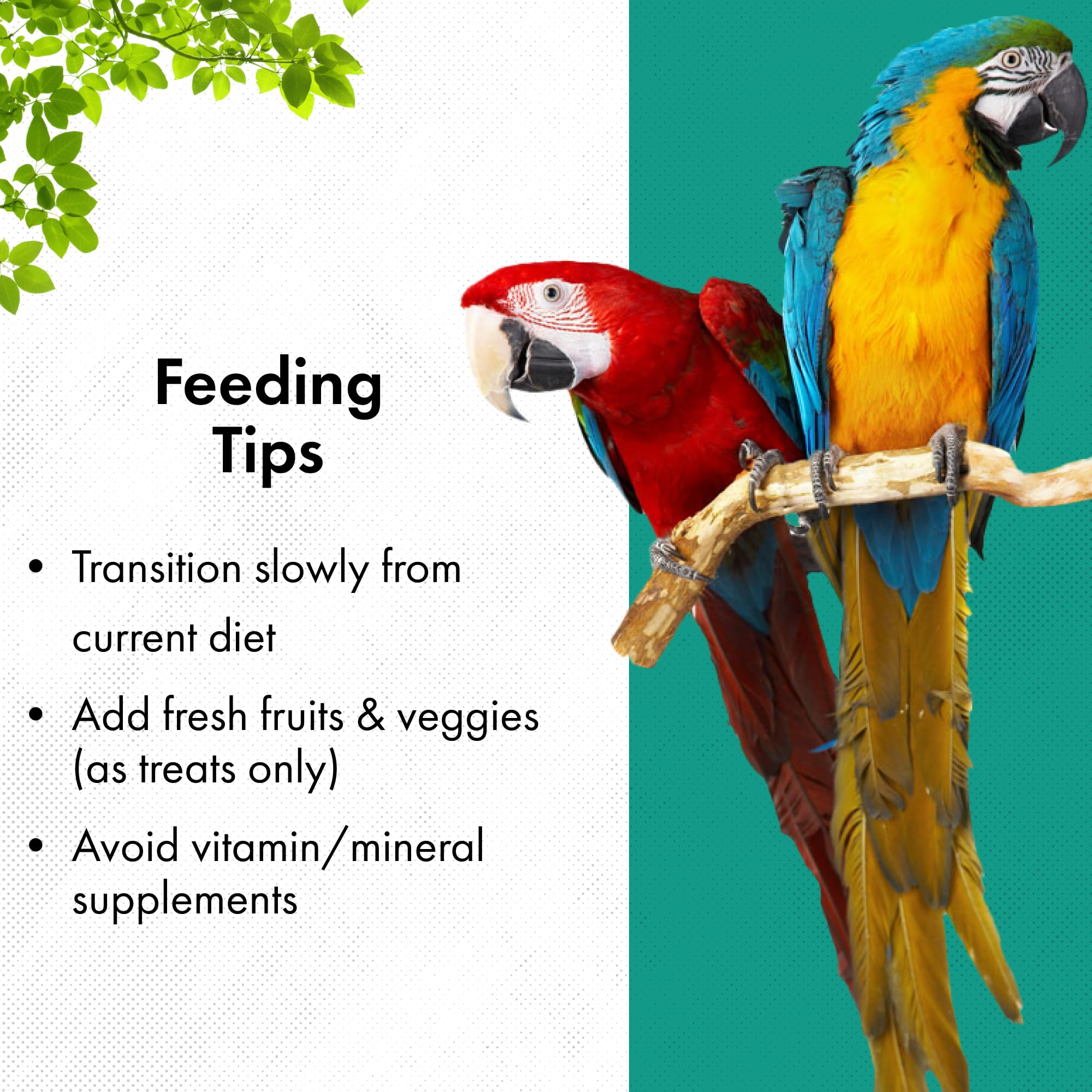Roudybush Daily Maintenance Bird Food, Small, 25-Pound (225SMDM)