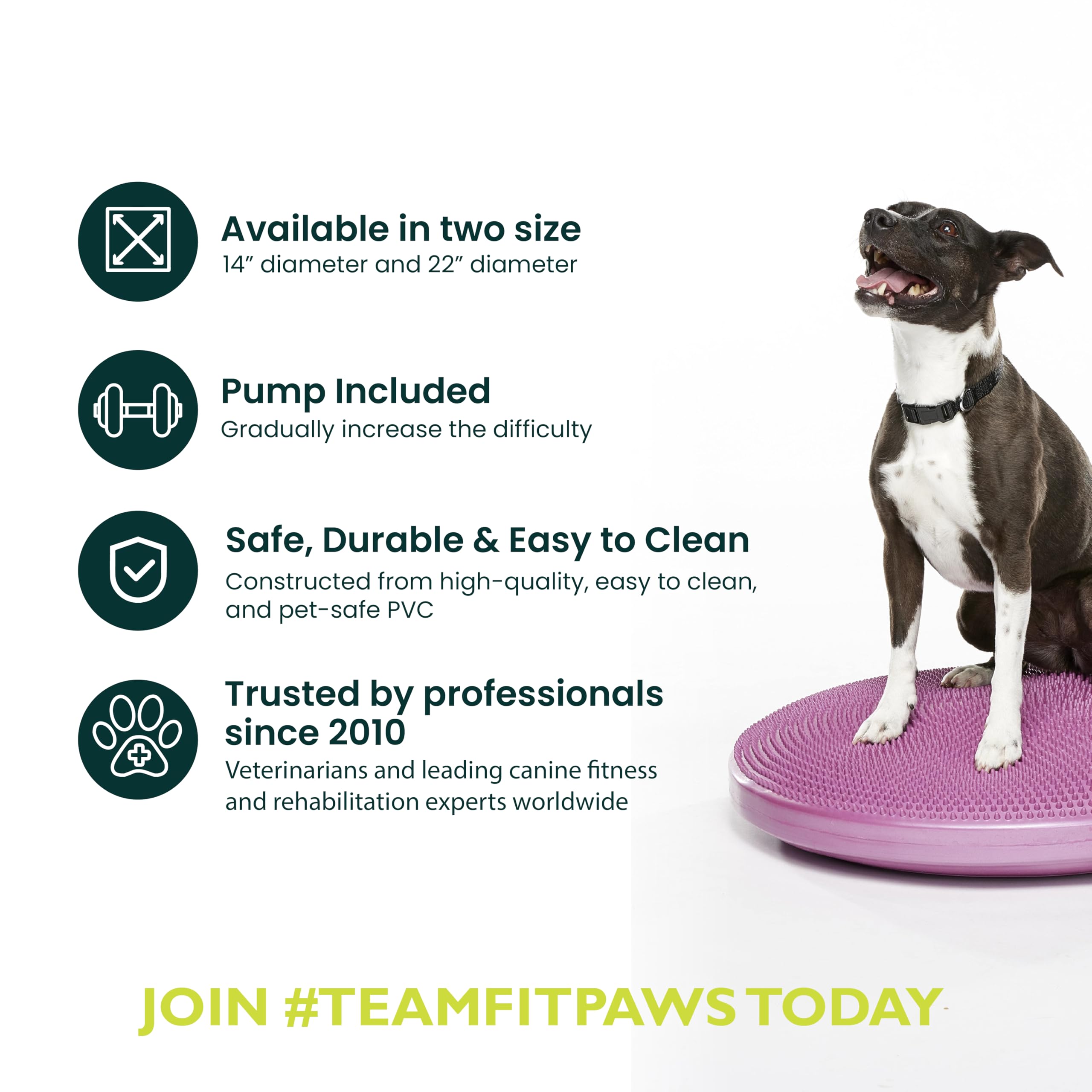 Fitpaws® Dog Balance Disc – 22”, Razzleberry | Dog Exercise Equipment | Workout Tool For Strength, Core, Stability & Rehabilitation