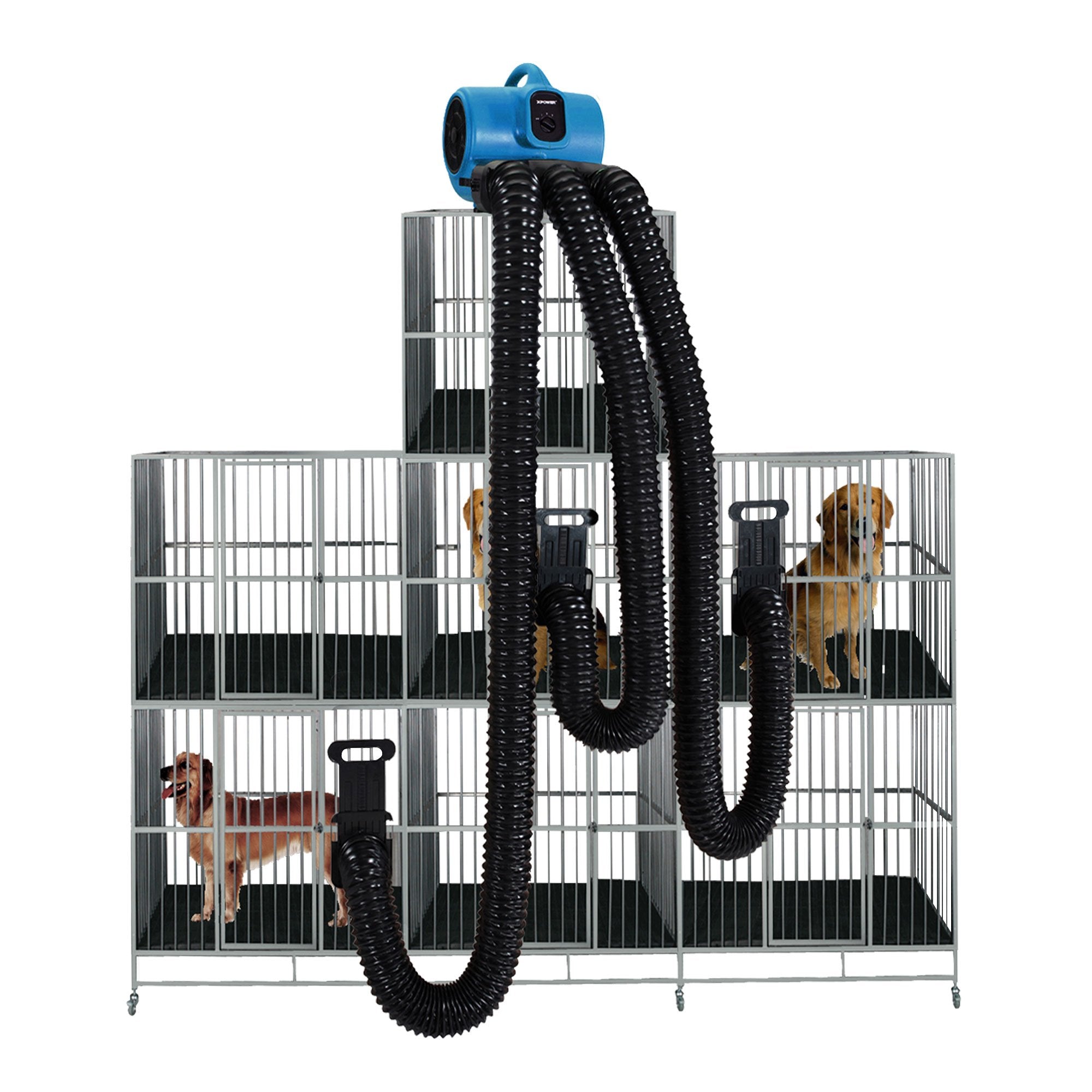 XPOWER X-430TF-MDK 1/3HP Professional Pet Grooming Carbon Dust Free Cage Dryer with Multi Drying Kit & Timer for Quicker Turnaro