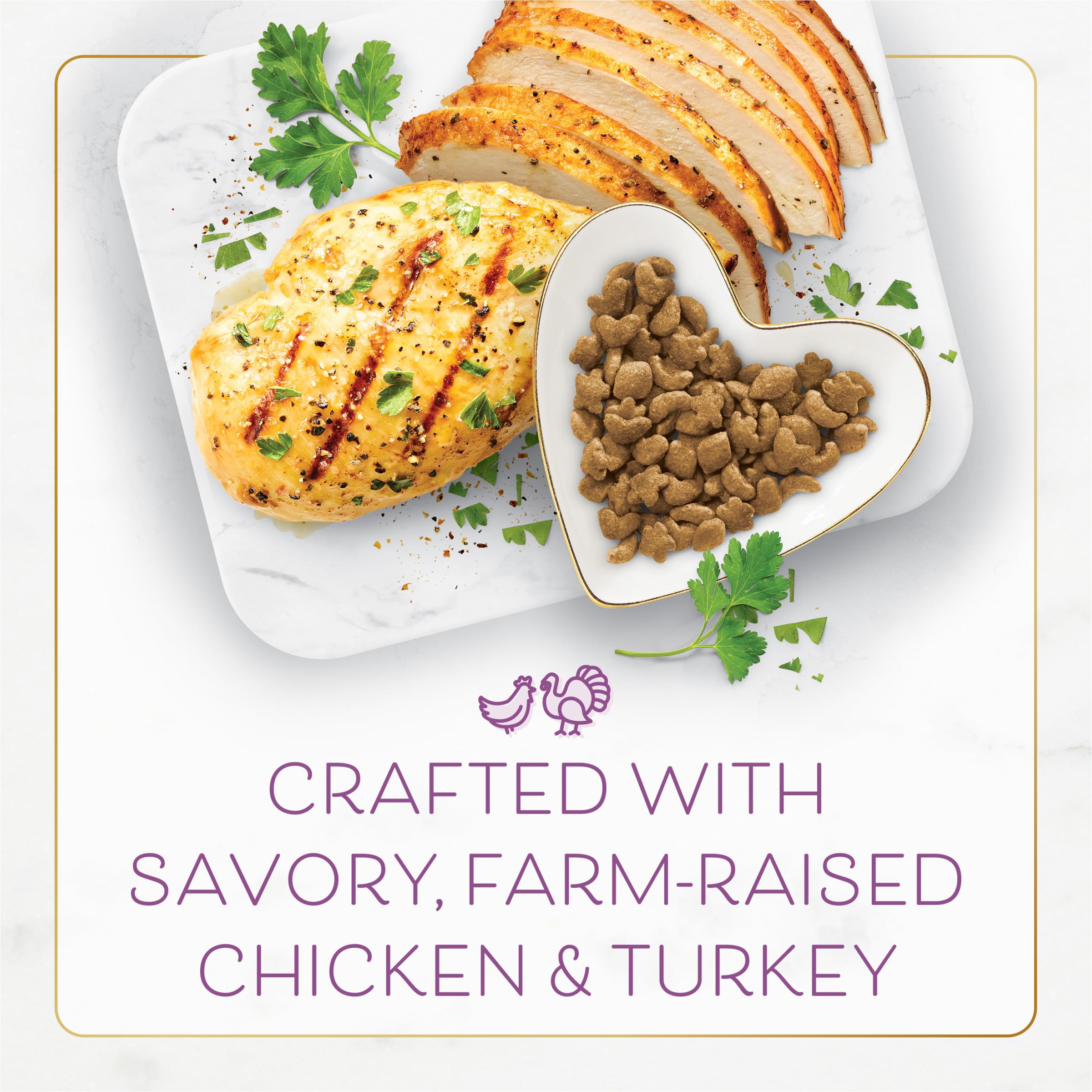 Purina Fancy Feast Dry Cat Food with Savory Farm-Raised Chicken and Turkey - 7 lb. Bag