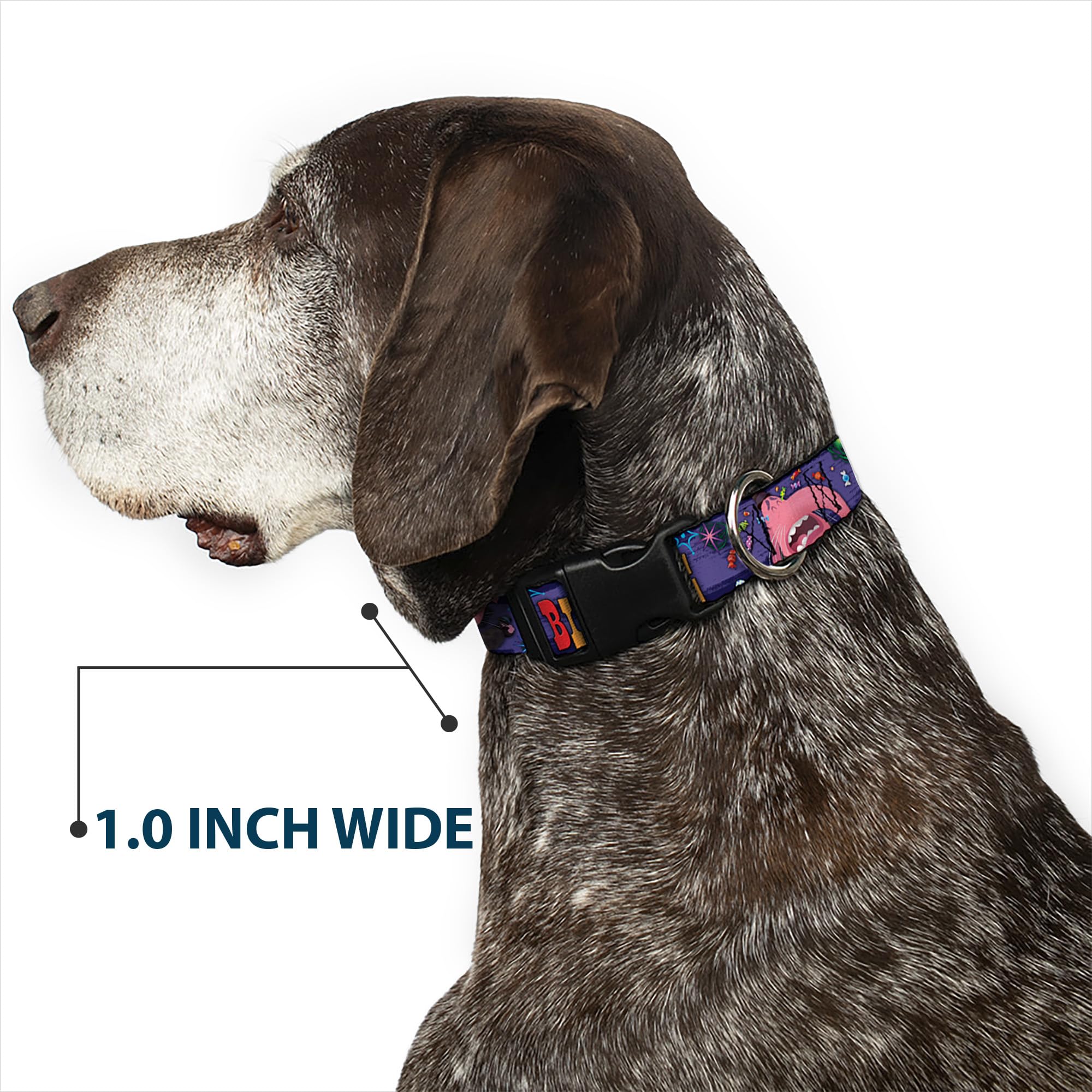 Buckle-Down Plastic Clip Collar - BING BONG Poses/Candy Purples/Multi Color - 1.5 Wide - Fits 13-18 Neck - Small