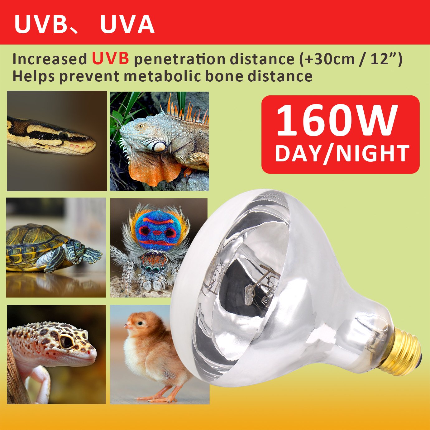 Aiicioo UVB Reptile Light 160W - Full Spectrum Heat Lamp for Bearded Dragon, Lizard, Turtle - Yellow, Pack of 1