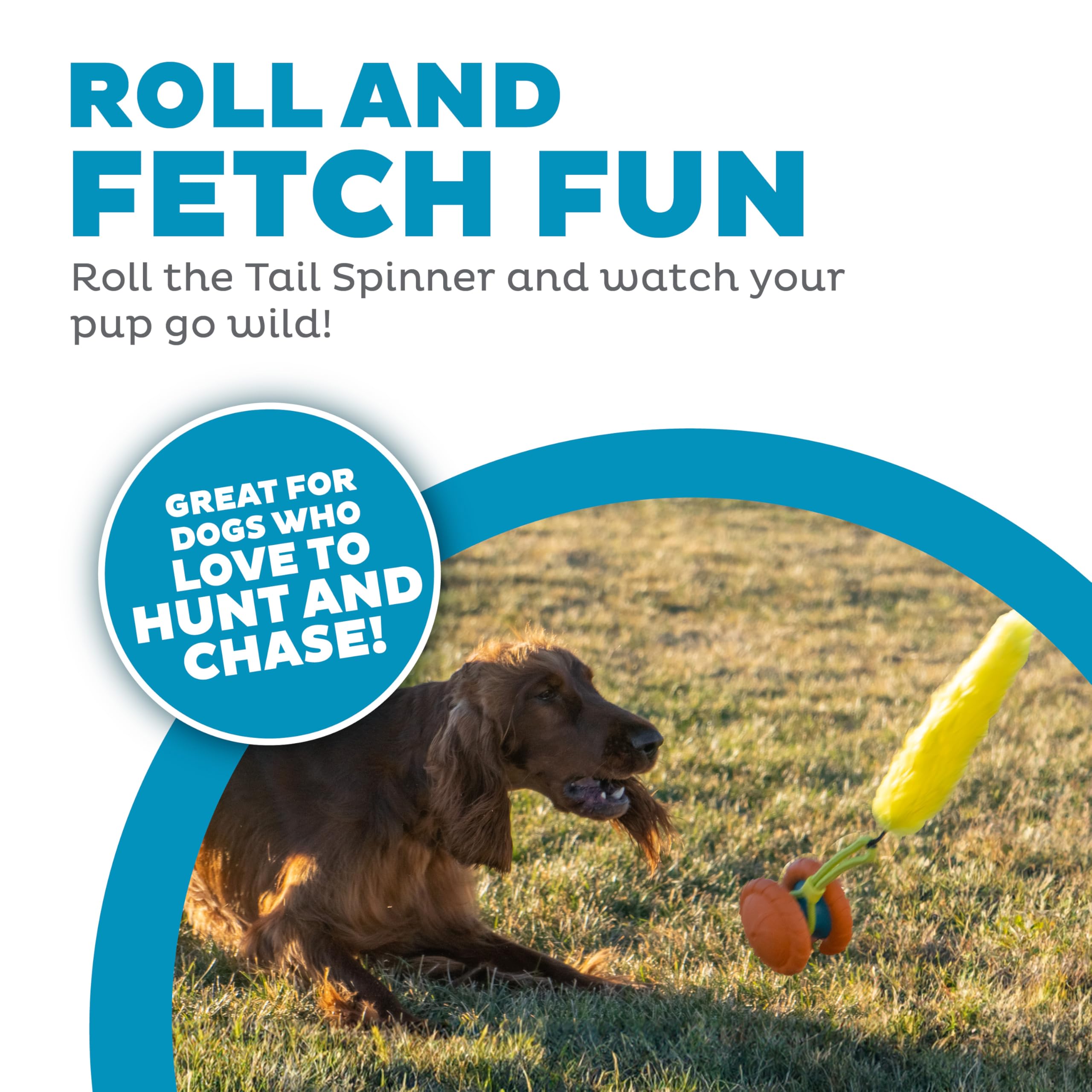 Outward Hound Tail Spinner Squeaky Dog Chase Toy With Furry Tail