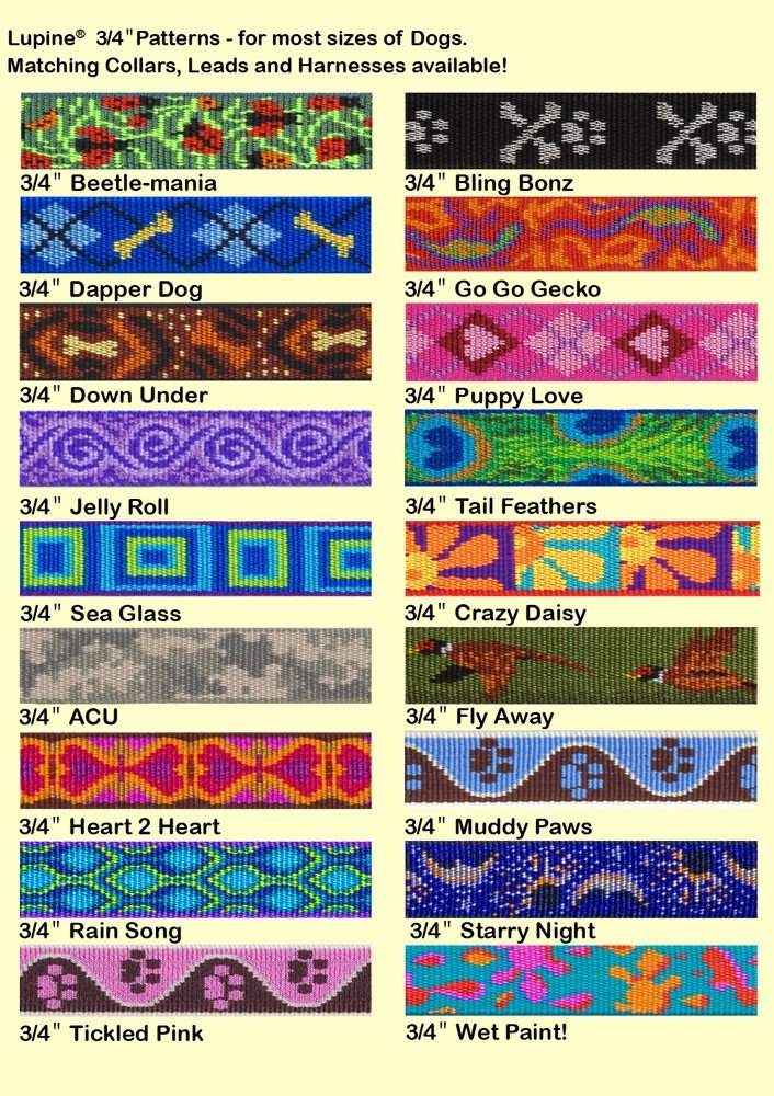Lupinepet Originals 3/4' Go Go Gecko 15-25' Adjustable Collar For Large Dogs