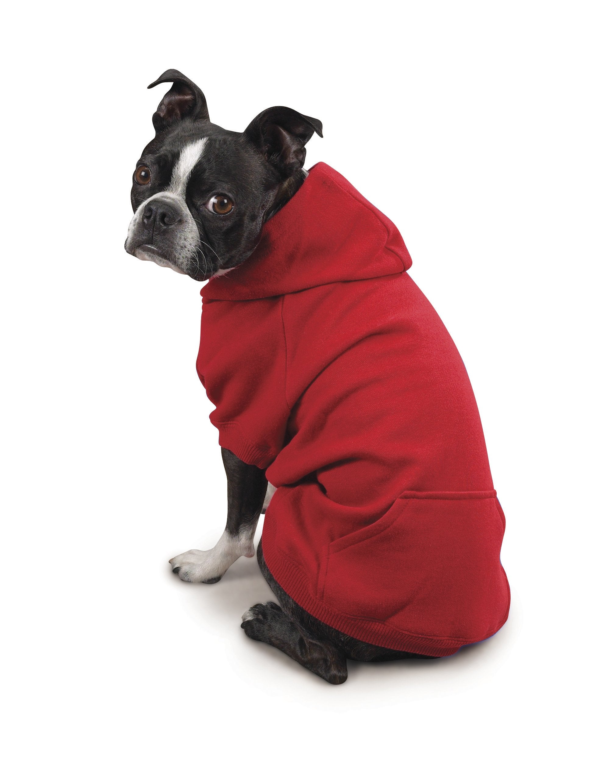 Zack & Zoey Basic Hoodie For Dogs, 12' Small, Tomato Red