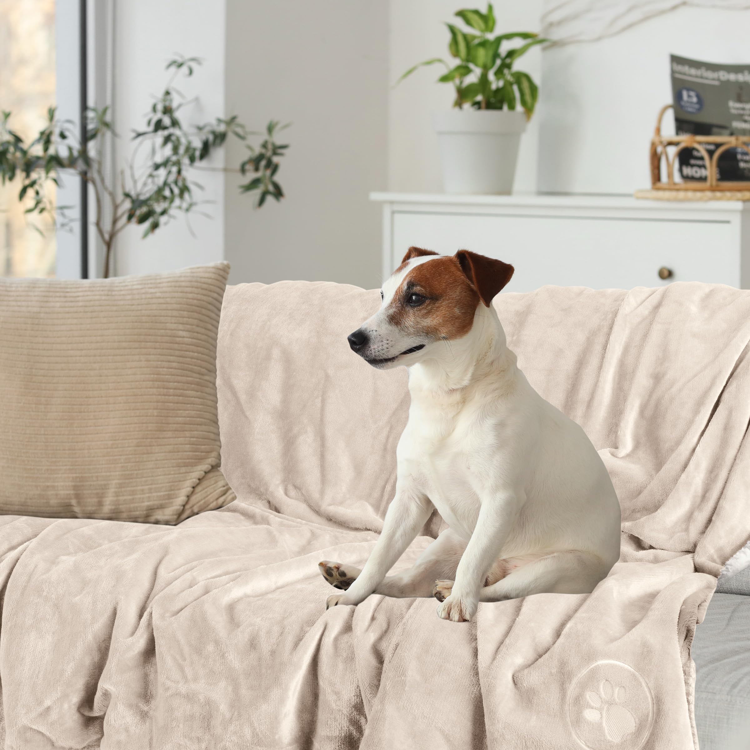 PETMAKER Dog Blanket - 60x80in Reversible Sherpa Blanket - Throw Blankets for Bed, Couch, Crate, or Car - Machine Washable Puppy