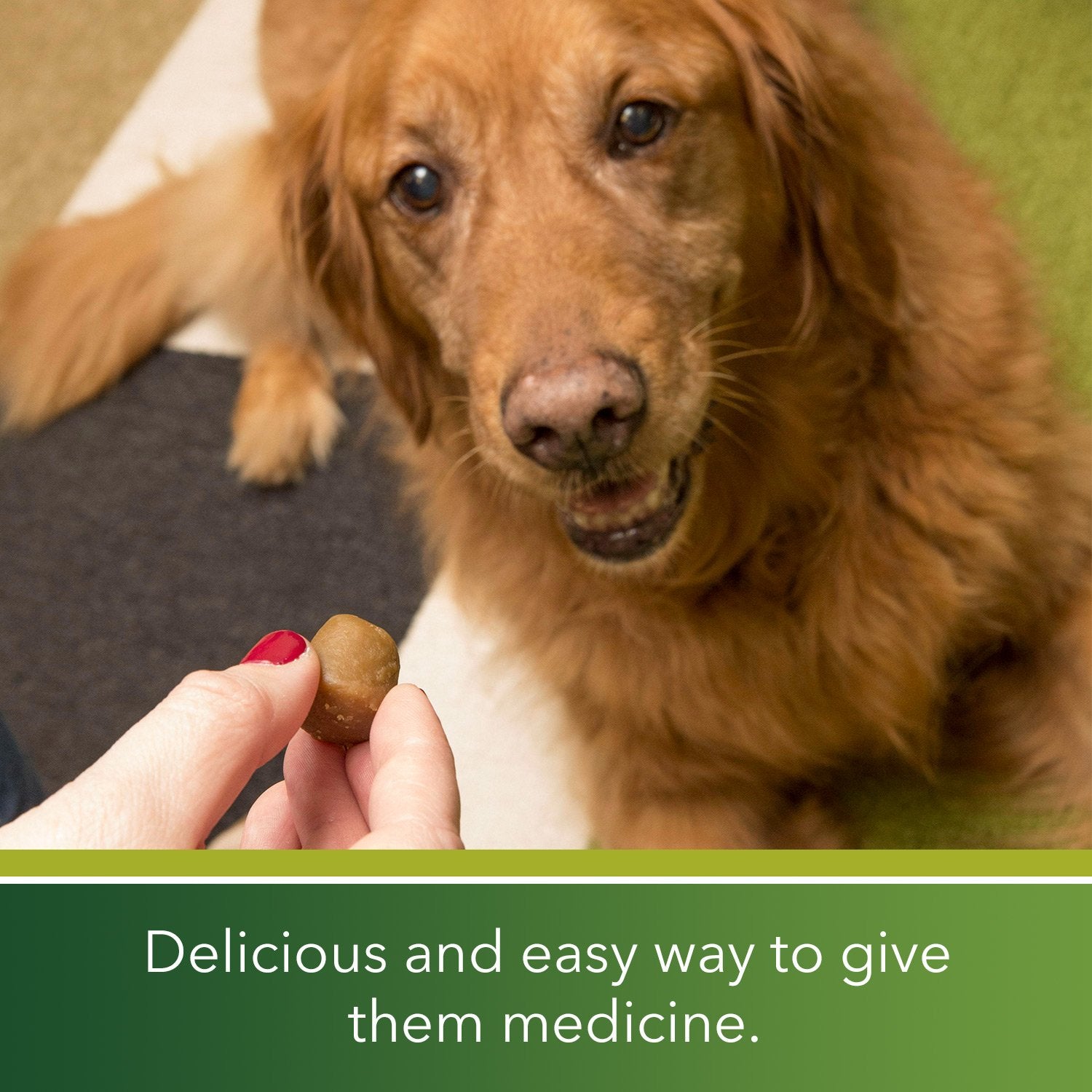 GREENIES Pill Pockets Treats for Dogs Hickory Smoke - Tablet Size 30 Count (Pack of 6)