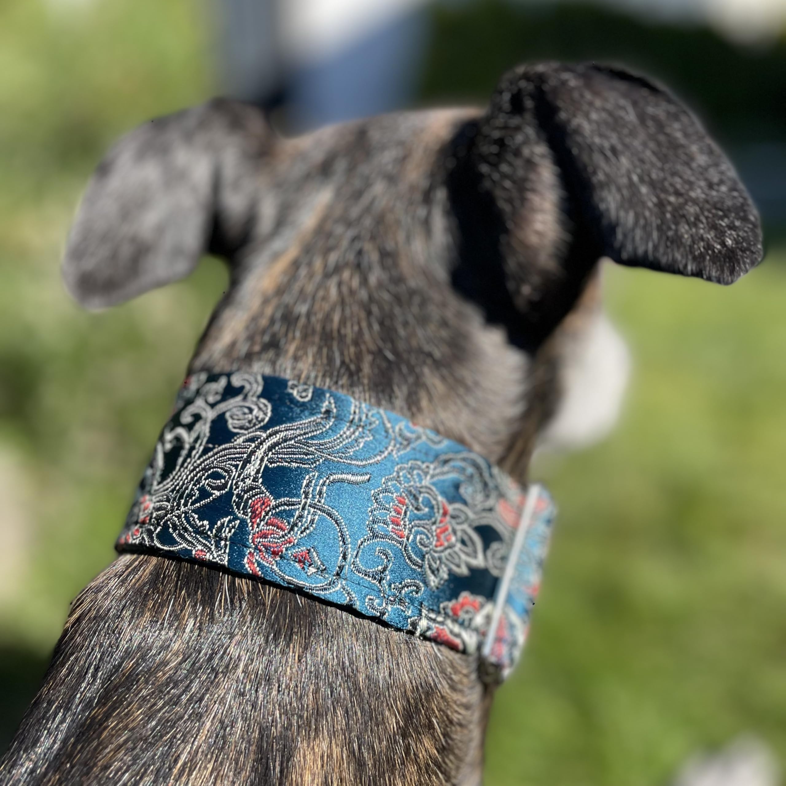 Extra Soft Martingale Dog Collar For Greyhound Saluki Whippet And Other Breeds With Similar Neck 2'' Wide (14''-18'')