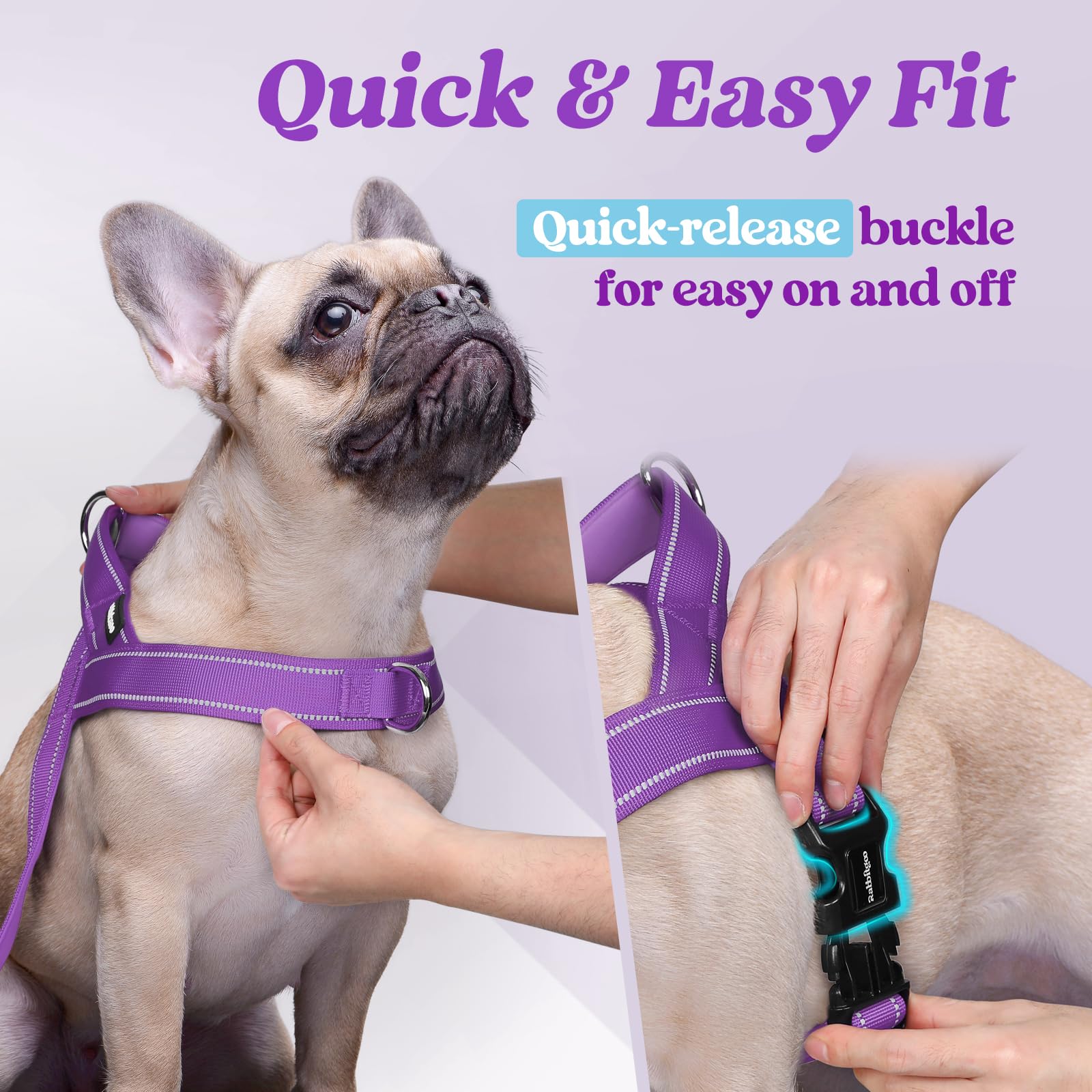 Rabbitgoo Dog Harness No Pull, Quick Fit For Small Dogs With Soft Padded Handle, Chest Adjustable Reflective Pet Vest, No Choke