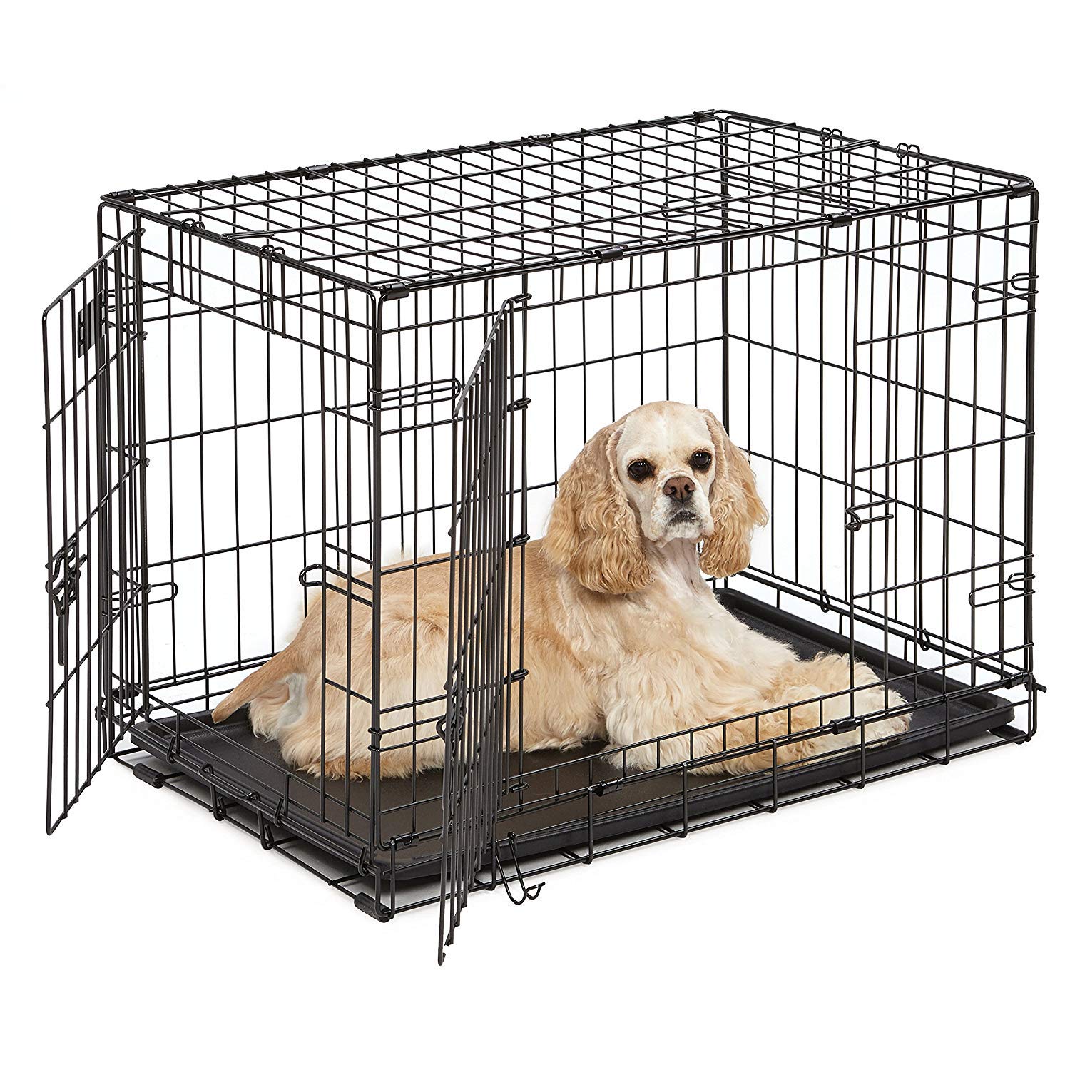 Midwest Homes For Pets Newly Enhanced Double Door Icrate Dog Crate, Includes Leak-Proof Pan, Floor Protecting Feet, Divider Panel & New Patented Features