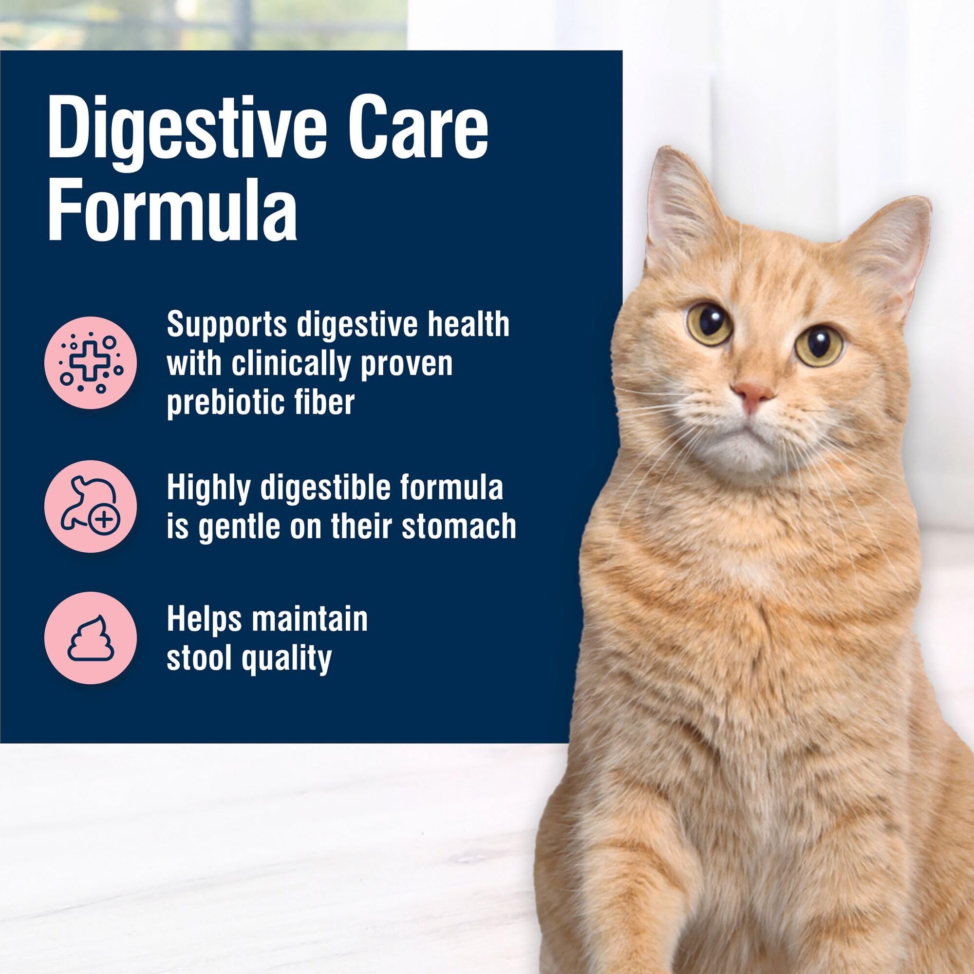 Blue Buffalo True Solutions Digestive Care Wet Cat Food for Adult Cats, Made with Natural Ingredients, Chicken, 3-oz. Cans (24 C
