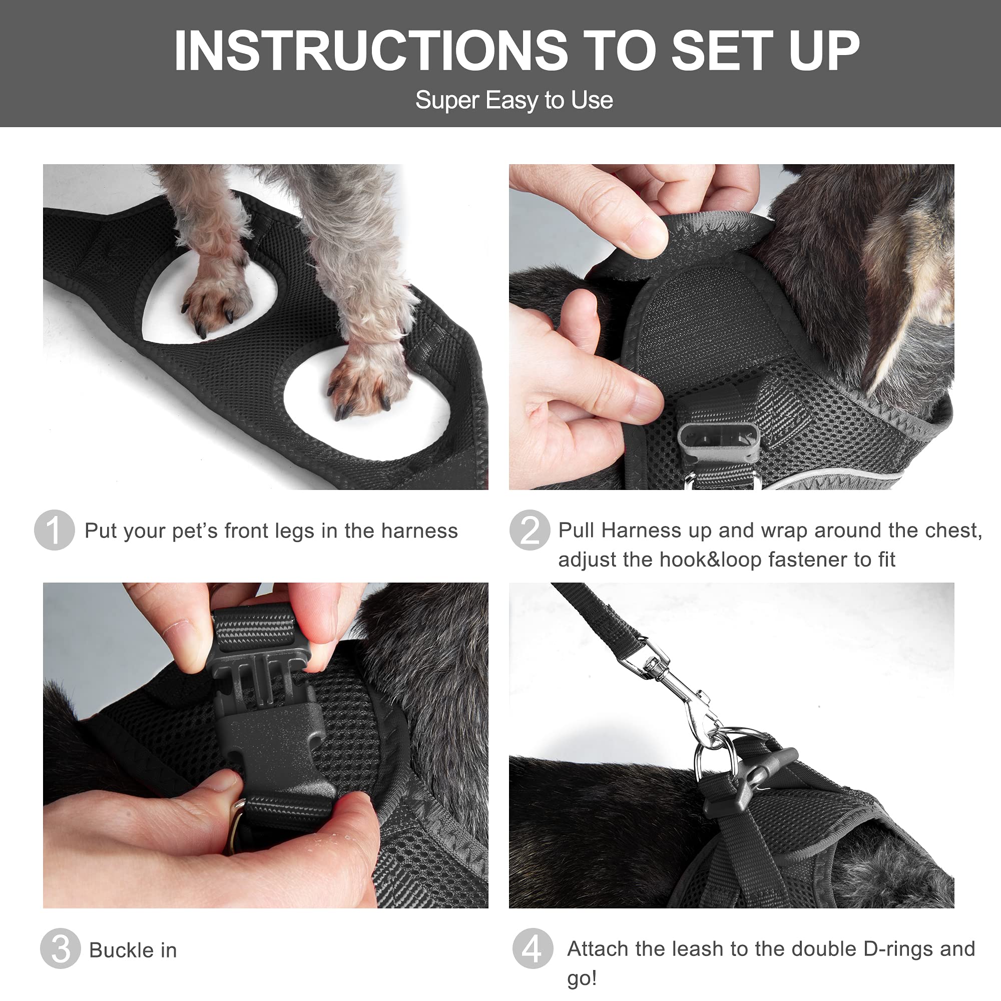 Fida Cat Harness and Leash Set for Walking Kitten and Puppy, Escape Proof Kitten Harness with Breathable Lightweight Soft Mesh,