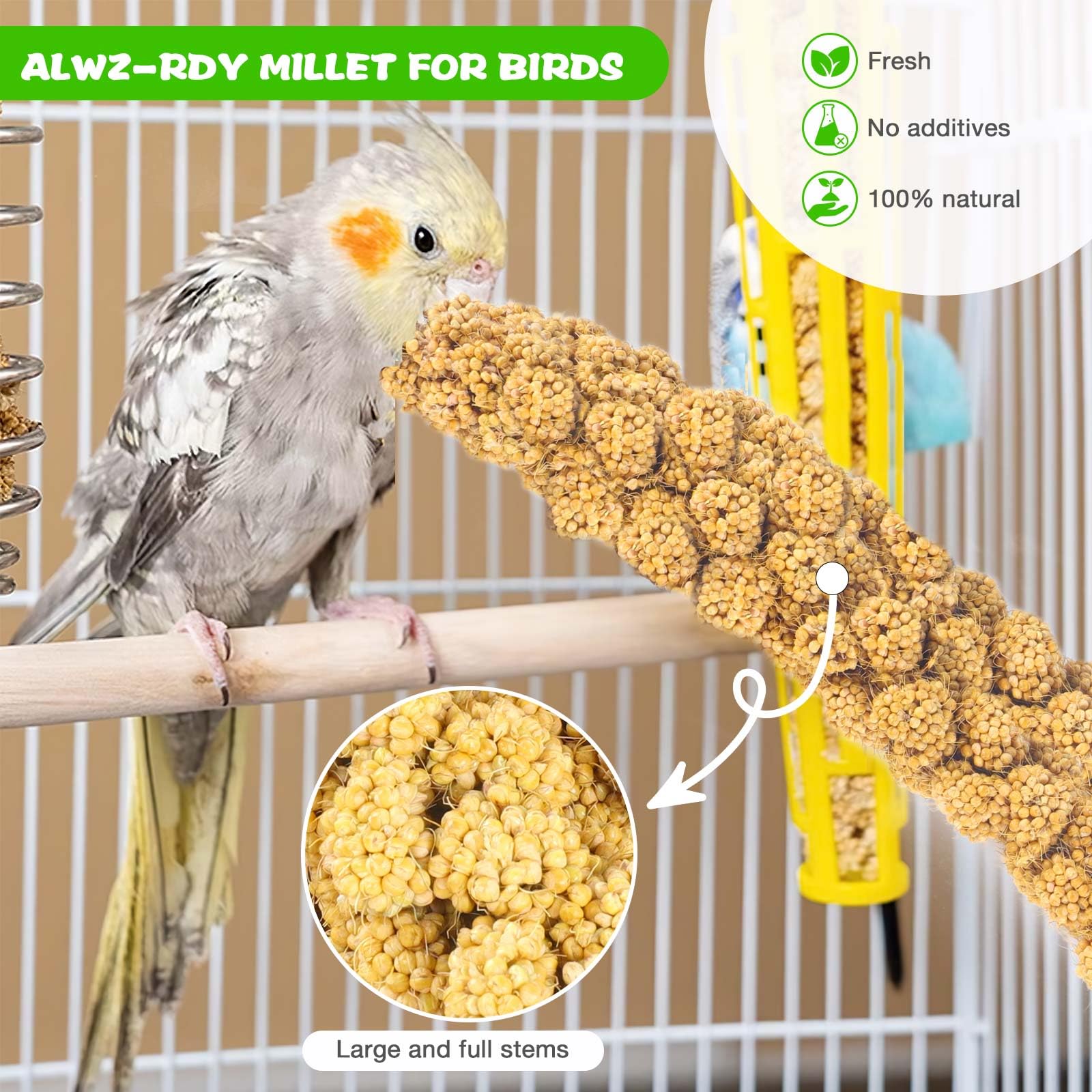 Millet for Birds 2.4LB, Natural Sun-Dried Millet Spray for Birds Seed No Stems Only Edible Tops for Parakeet, Budgies, Finches,