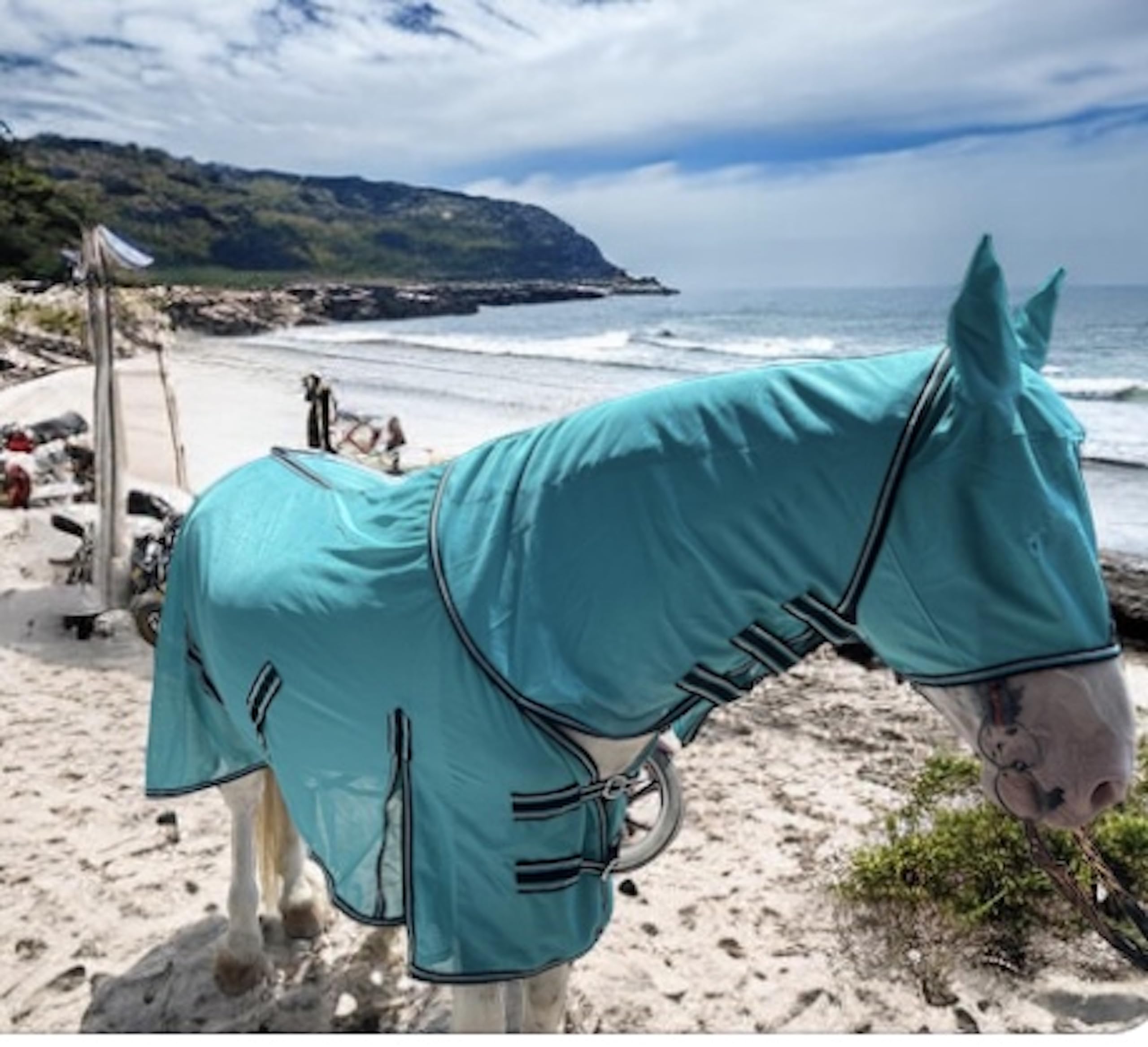 Majestic Ally Horse Fly Sheet with Neck Cover and Head Mask, Breathable UV and Bite Equine Protection, Adjustable Body Straps, B