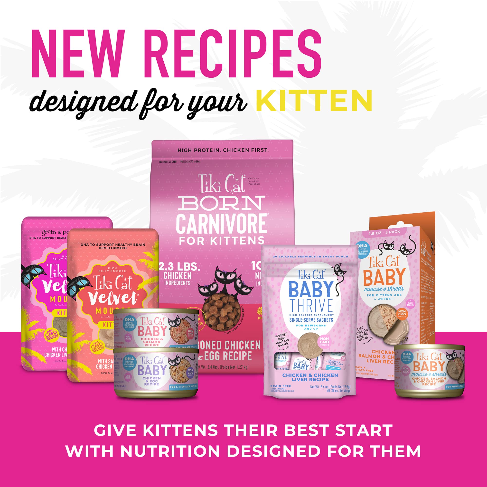 Tiki Cat Baby Mousse & Shreds, Chicken, Salmon, and Chicken Liver, High-Protein, Wet Cat Food for Kittens 4 Weeks+, 1.9 oz. Cans
