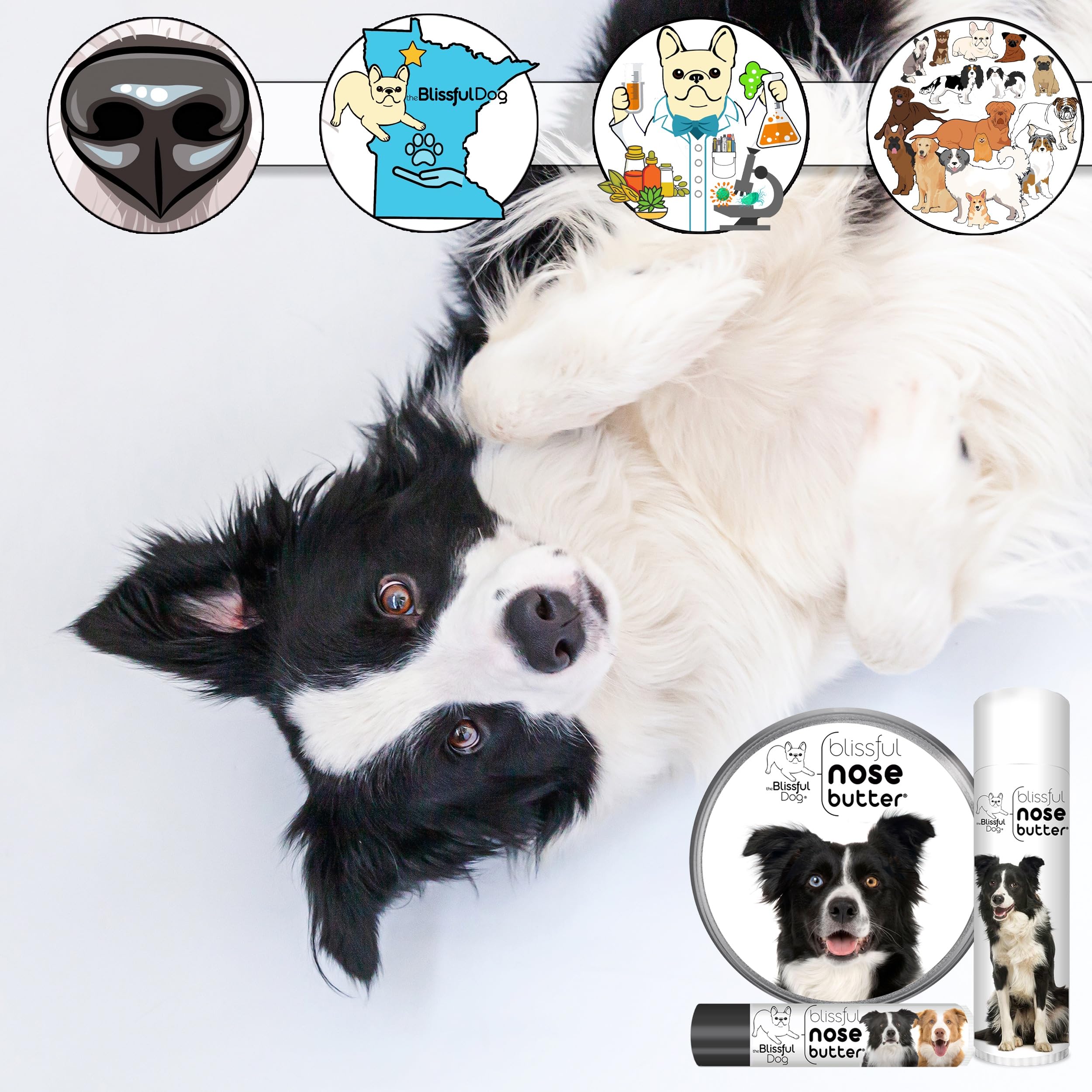 The Blissful Dog Border Collie Nose Butter, Versatile Dog Nose Balm for Dry Nose, Handcrafted Nose Moisturizer, Easy-to-Apply Do