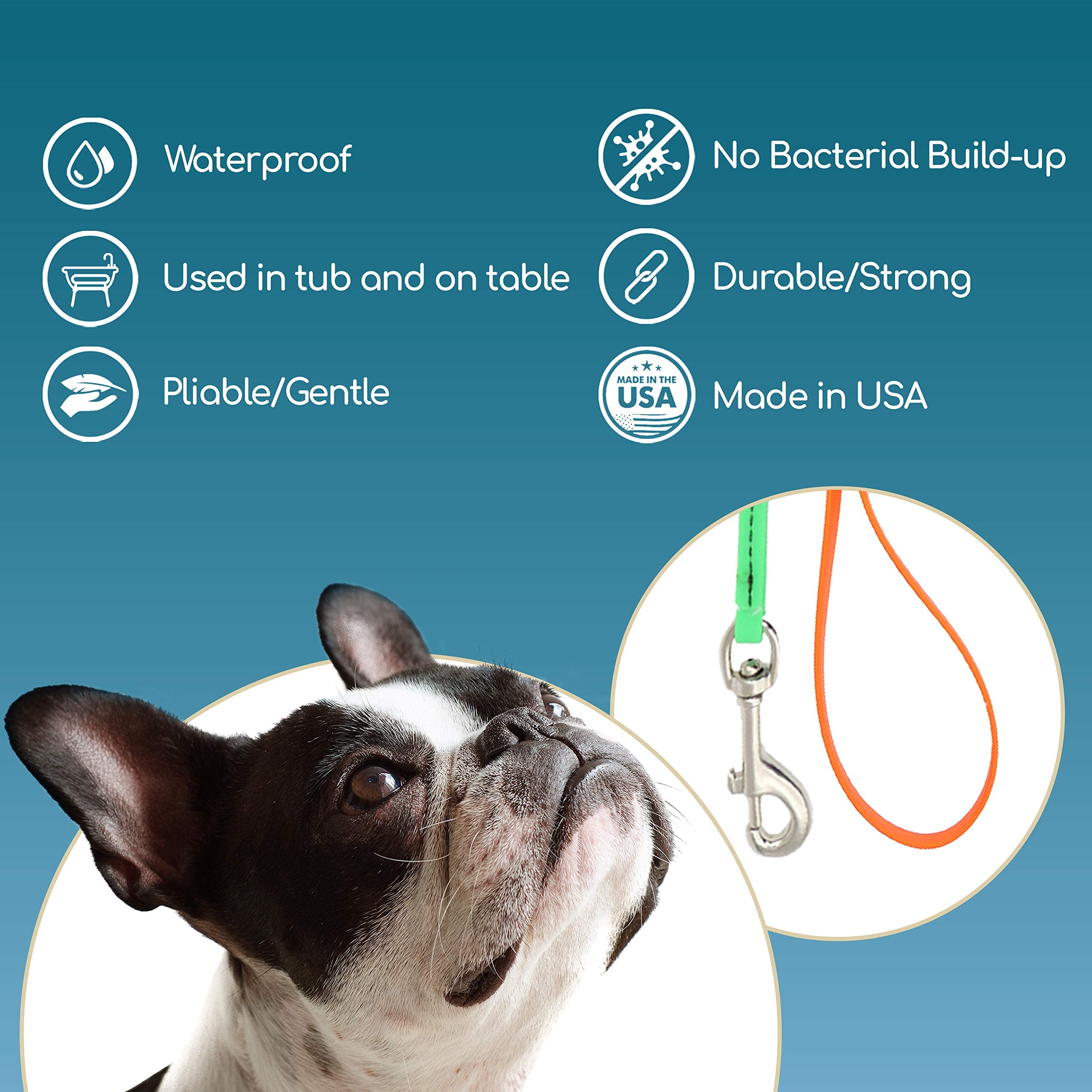 Jelly Pet Grooming Lead For Dogs | Great For Kennels, Veterinarians And Dog Grooming Salons | Biothane Leash - Easy To Clean, Waterproof & Durable Noose Loop | Made In Usa | 3/8'' X 4' Royal Blue