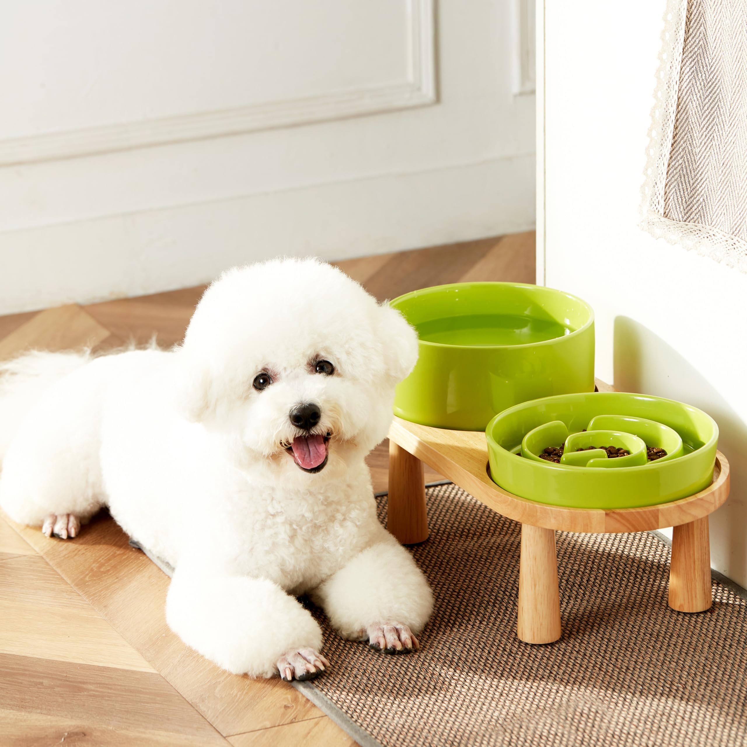 MOPANG Ceramic Slow Feeder and Water Bowl Set for Medium/Large Dogs, 30oz & 70oz, Elevated Wooden Stand, Green