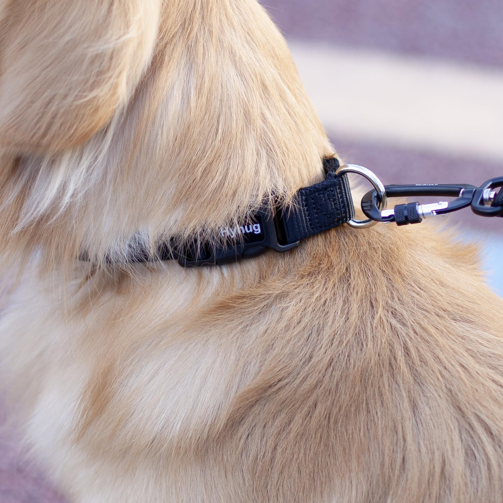 Hyhug Heavy Duty Nylon Dog Collar for Medium Dogs, Black - Model BOLYDOOM