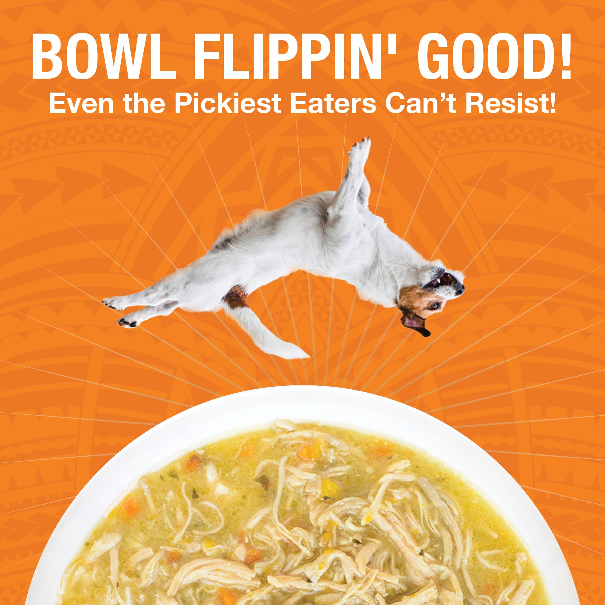 KOHA Pure Shreds Chicken Entr  e for Dogs, 12.5oz Cans (Pack of 12)