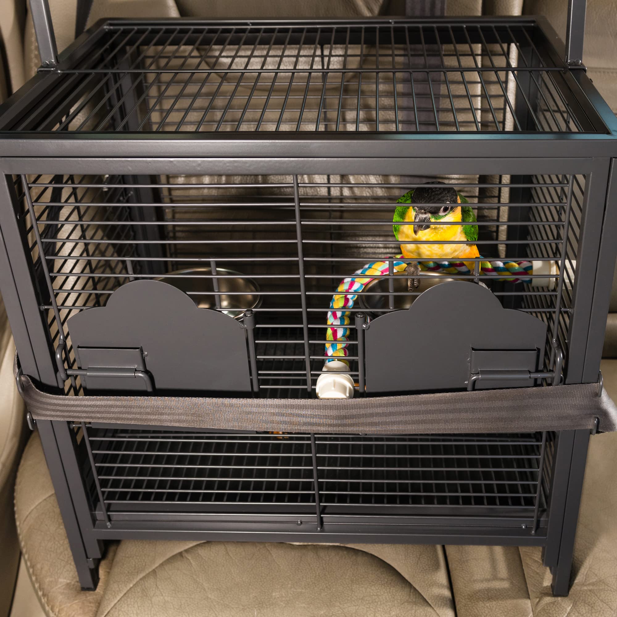Prevue Pet Products Travel Carrier for Birds, Black 18.8L x 14.9W x 18.0H