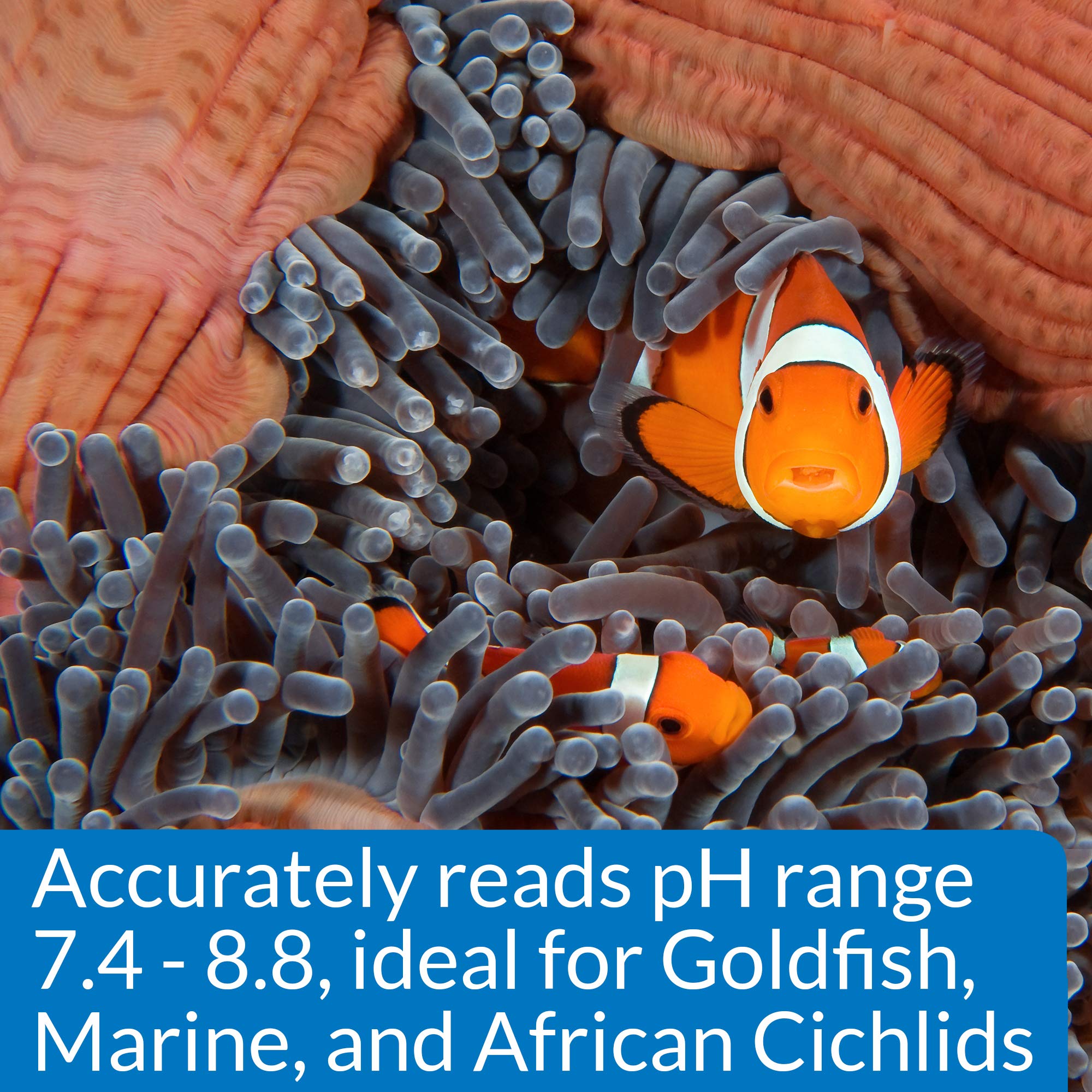 High Range Ph Test Kit