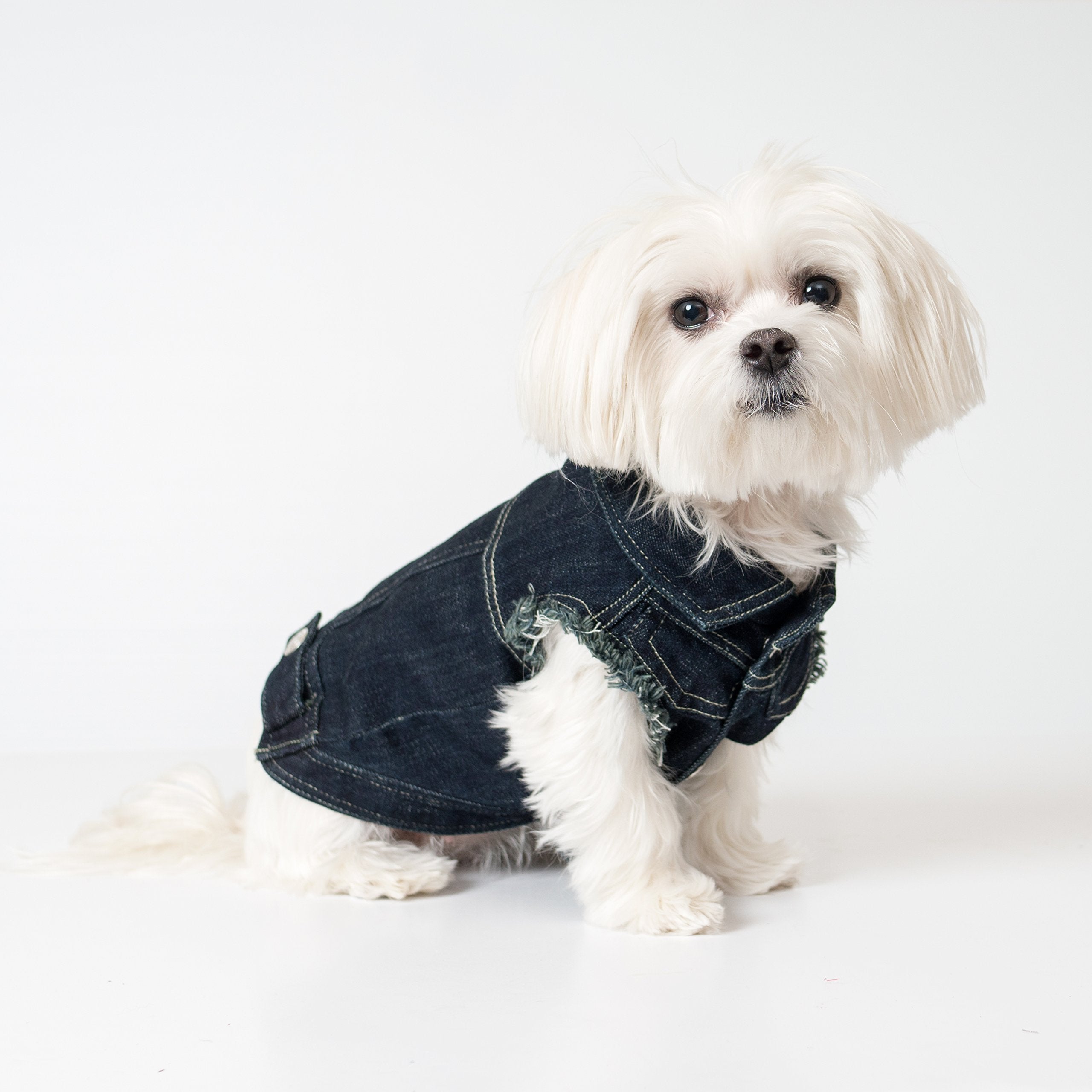 Fashion Jean Jacket For Dogs By United Pups (Chill Pups Navy Blue, Size 5)