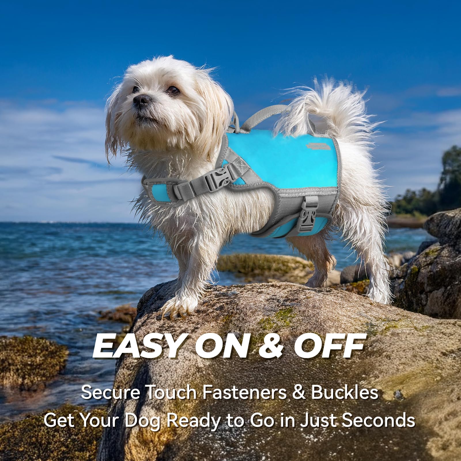 Vivaglory Neoprene Dog Life Jacket Cat Life Jacket For Boating Hunting & Swimming, Lightweight With Leash Ring, Xs, Teal